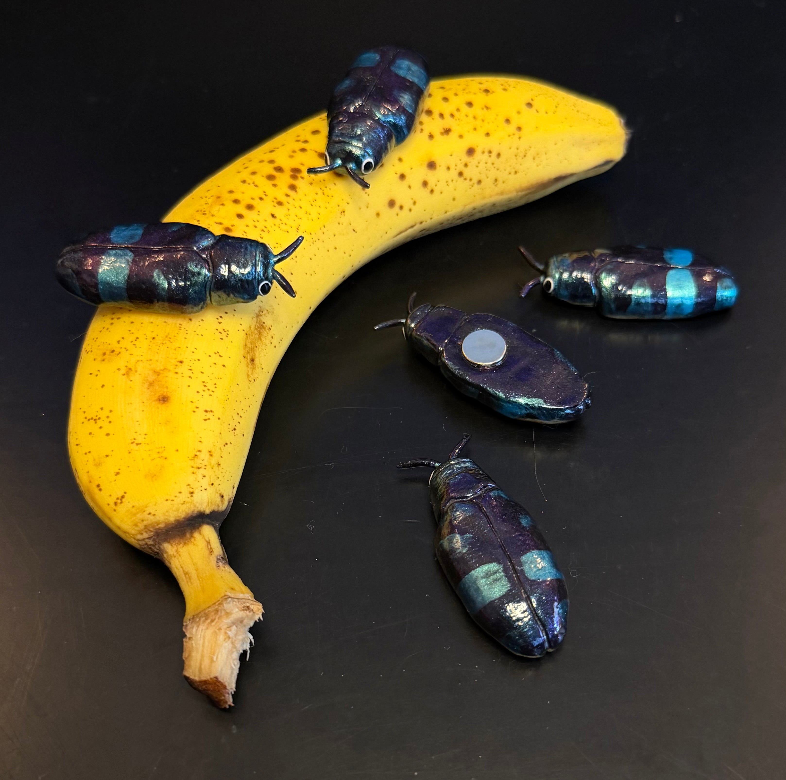 Chrysobothris chlorocephala Magnet