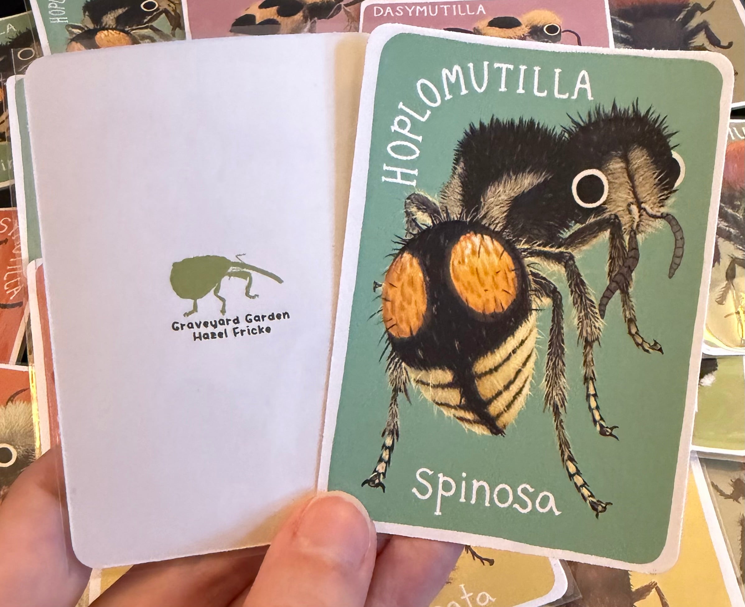 Mutillidae Mini Prints