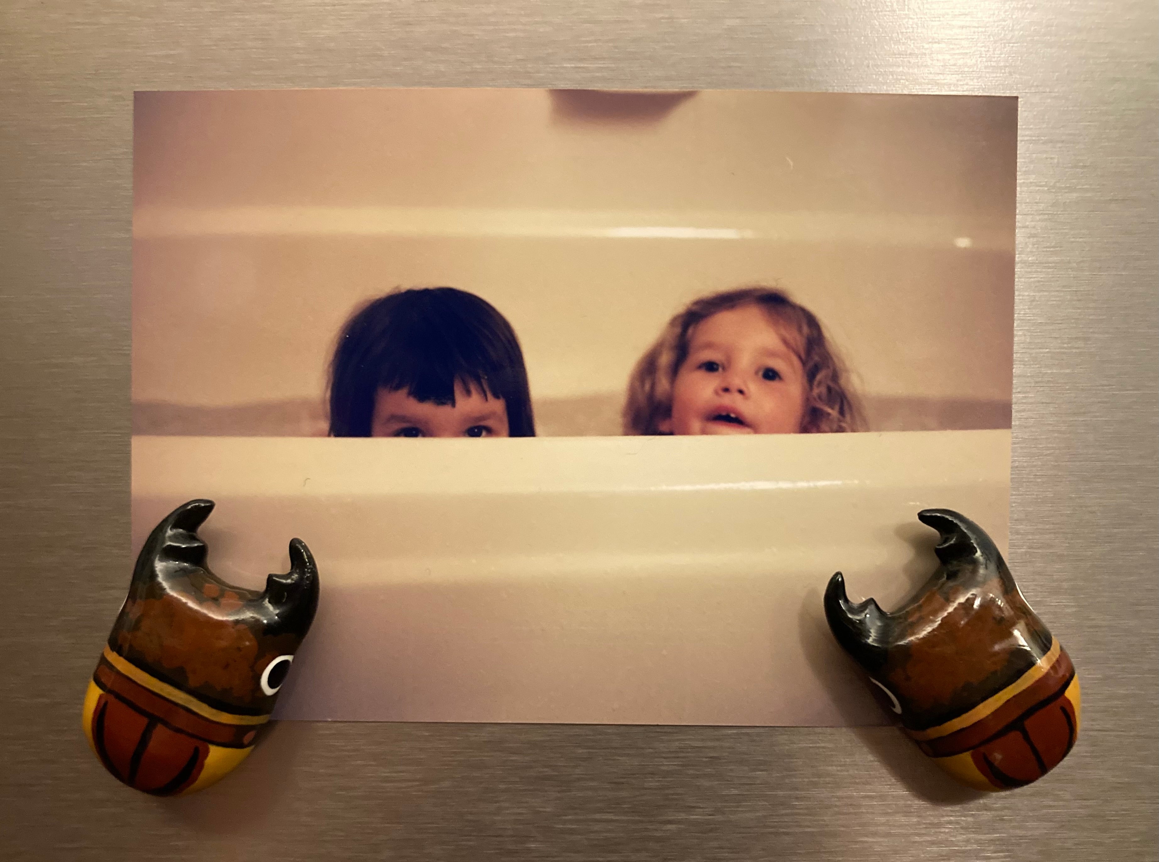 Prosopocoilus lateralis Magnet