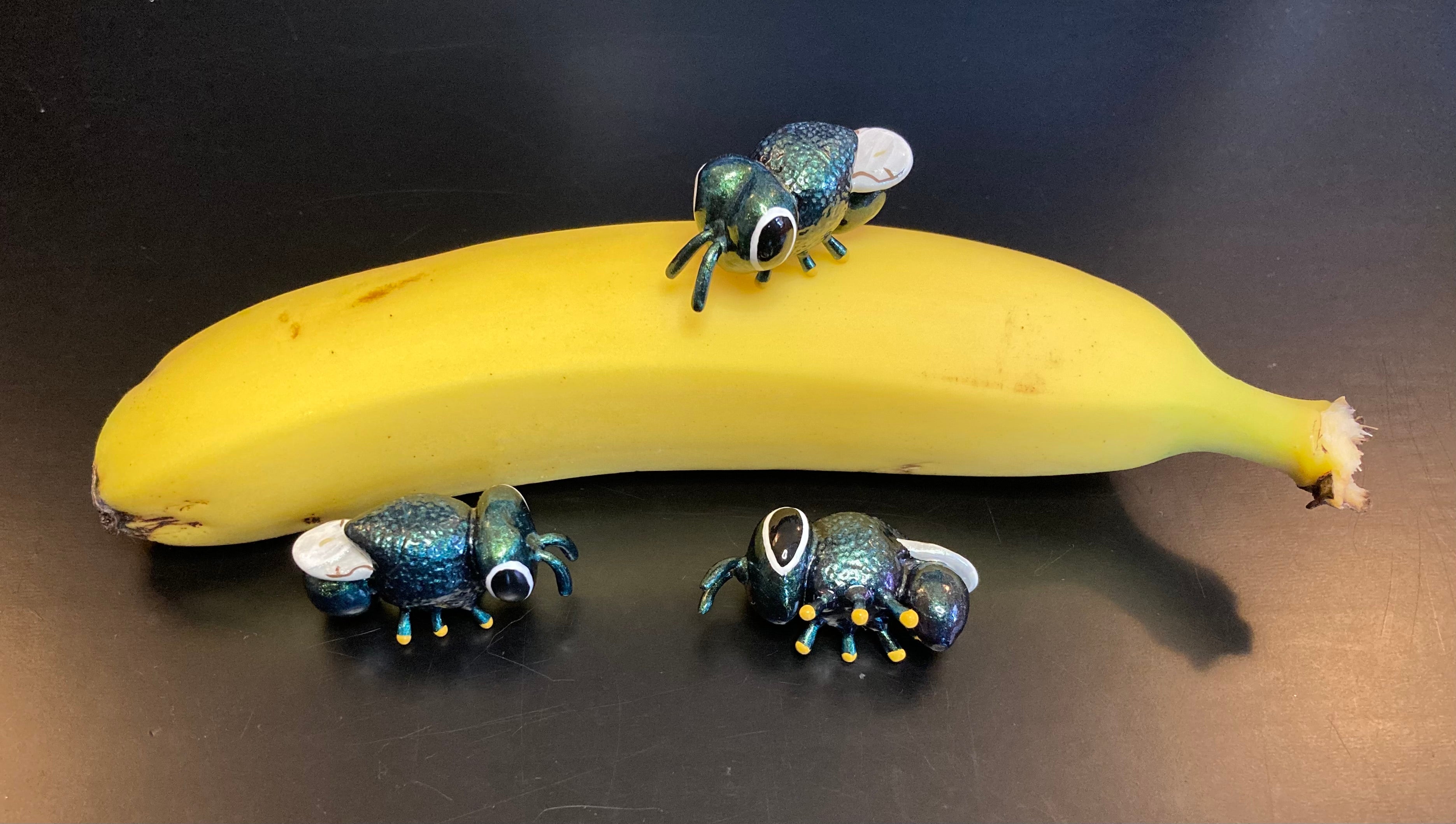 Perilampus hyalinus Sculpture