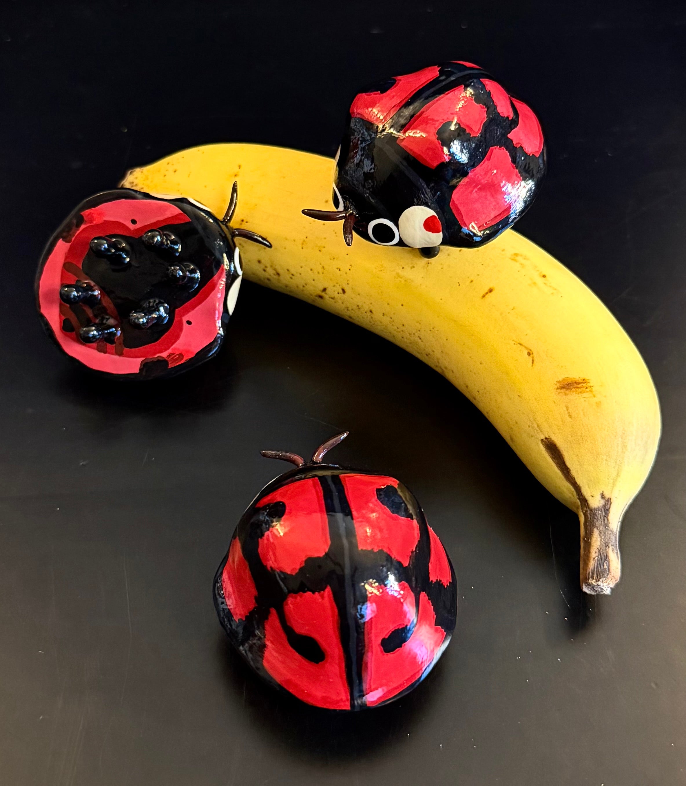 Aiolocaria hexaspilota Sculpture