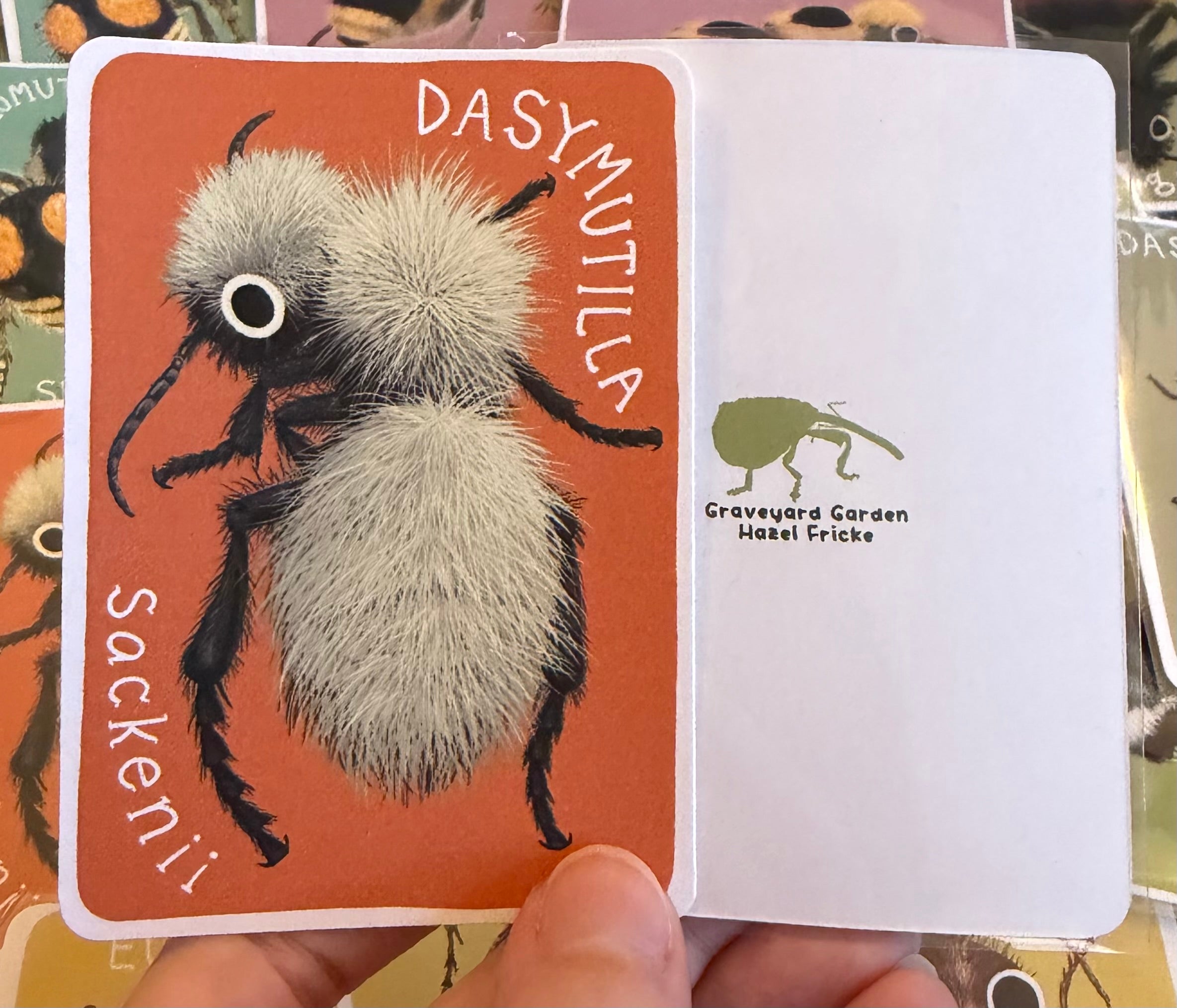 Mutillidae Mini Prints