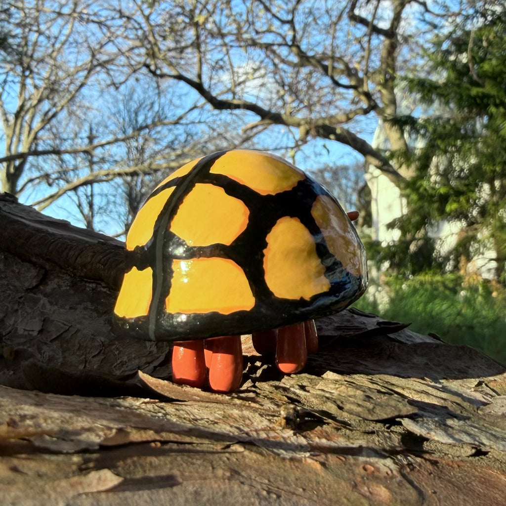 Heteroneda billardieri (AKA Netty Ladybird) Sculpture