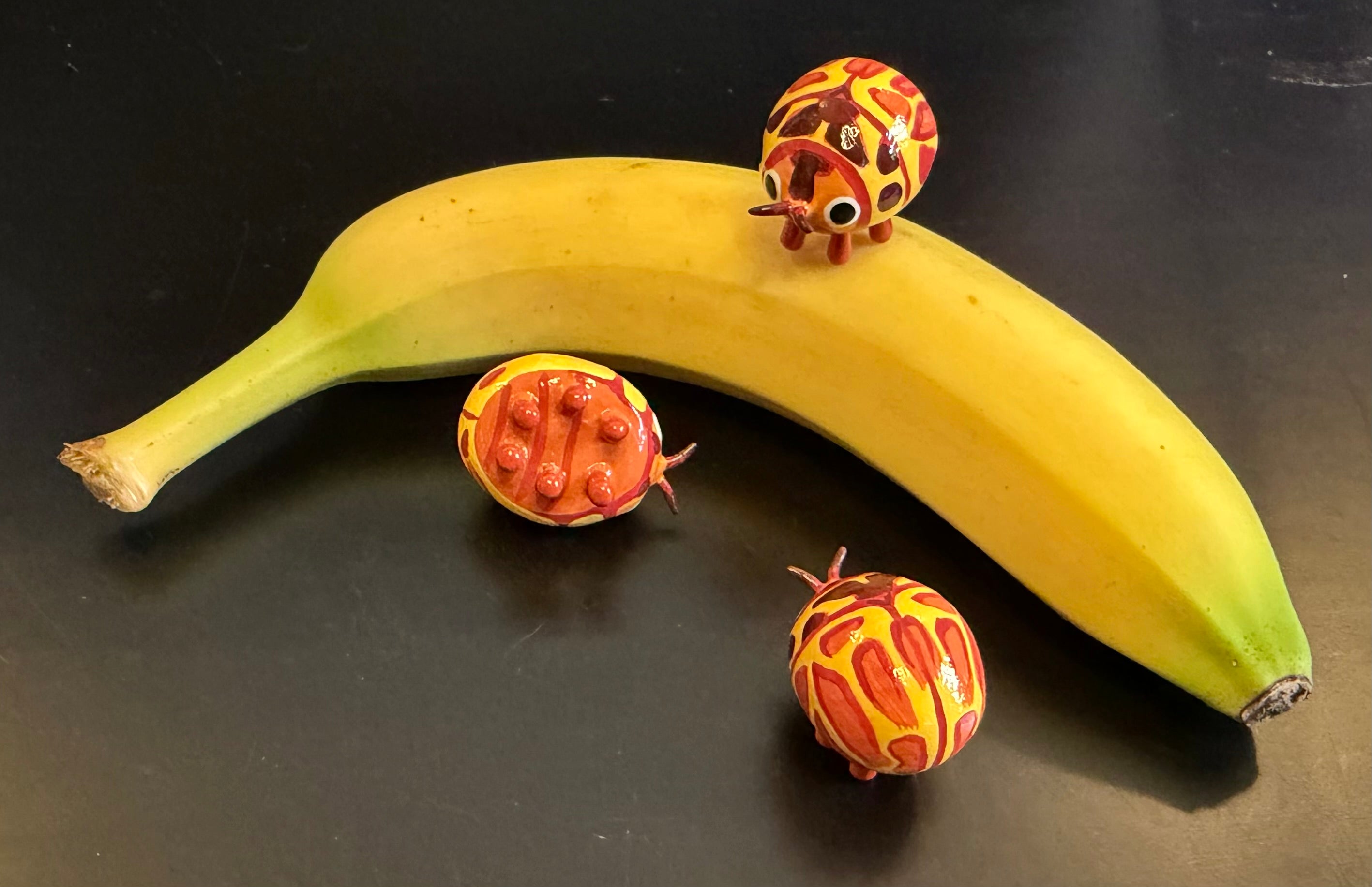 Dilatitibialus hybridula Sculpture