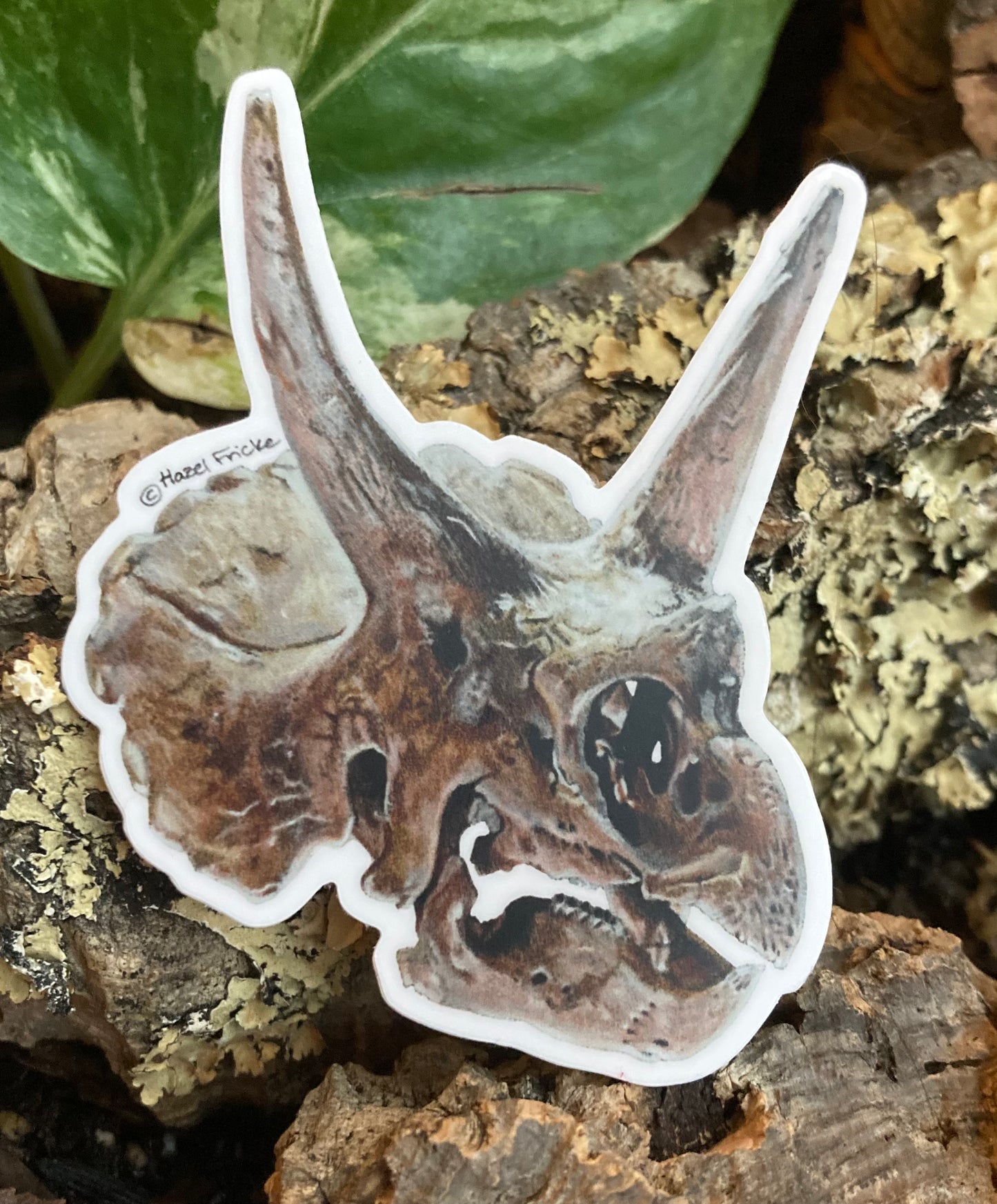 Triceratops Skull Sticker