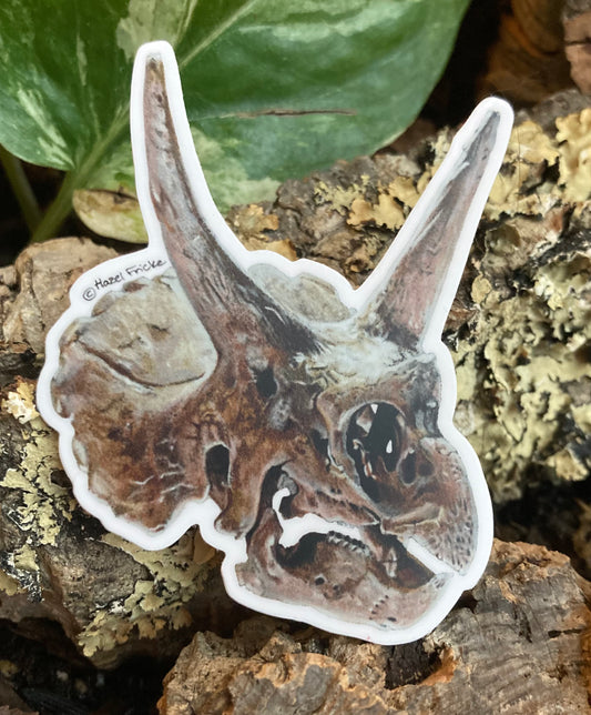 Triceratops Skull Sticker