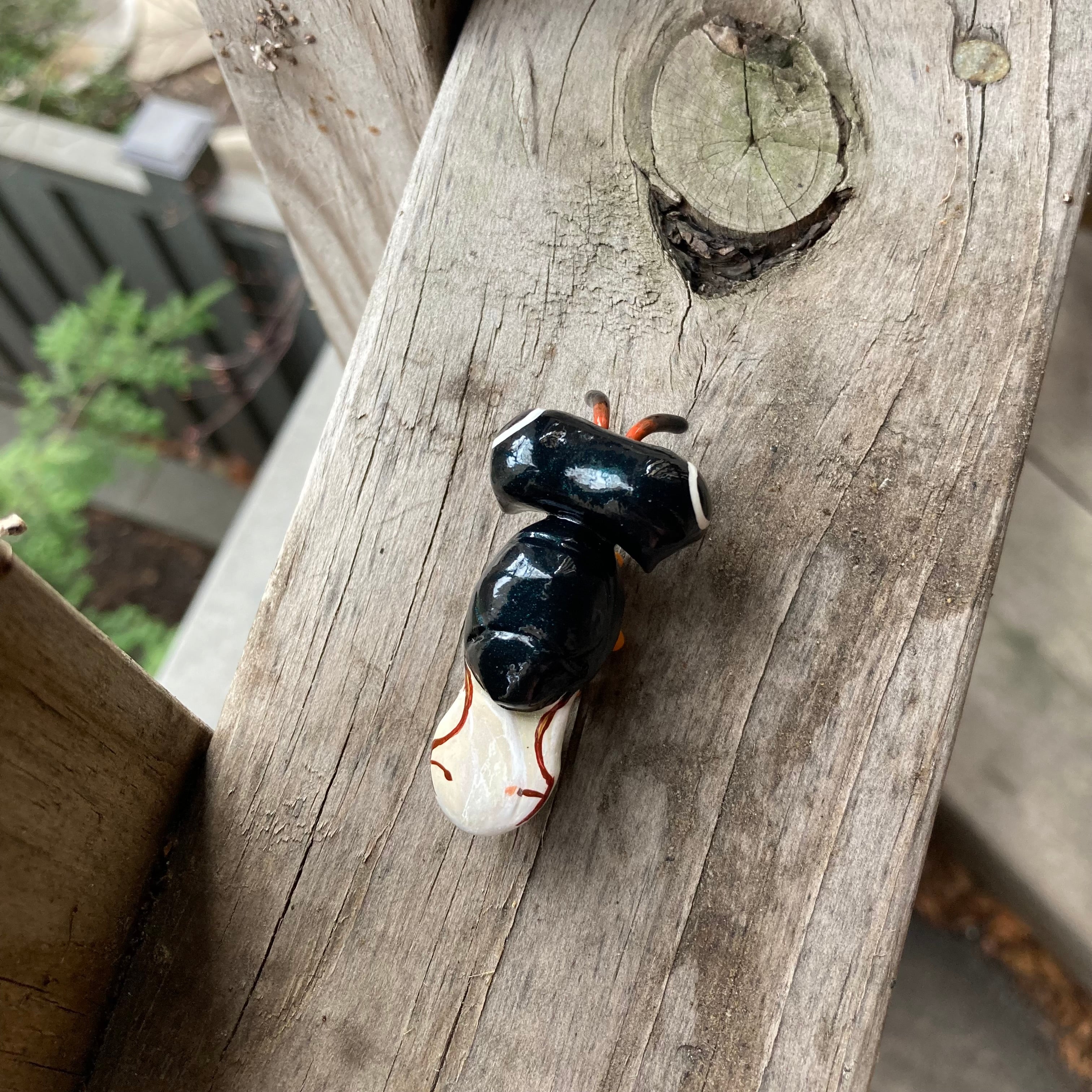 Cratomus megacephala Sculpture