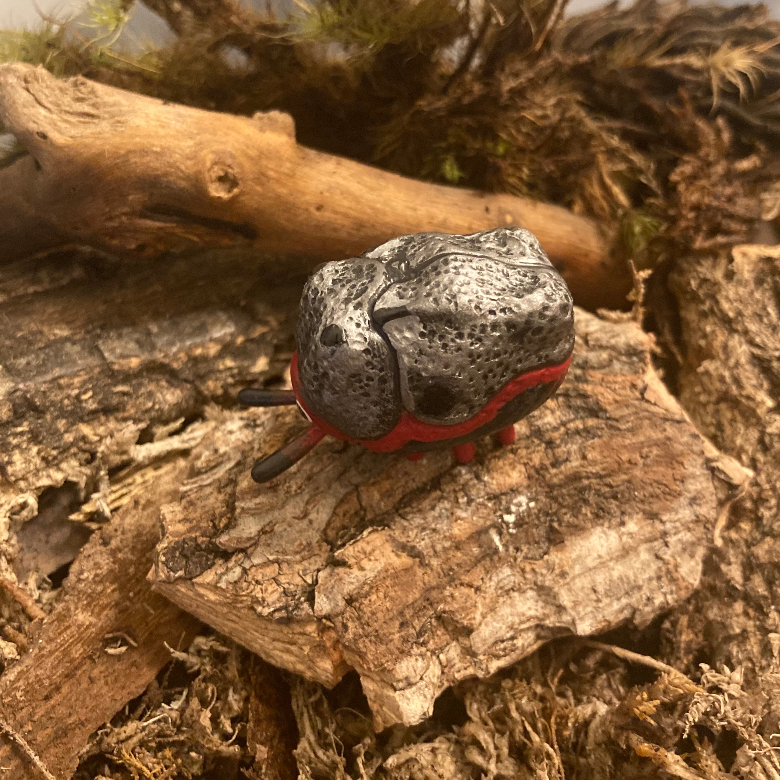 Chlamisus maculipes Sculpture