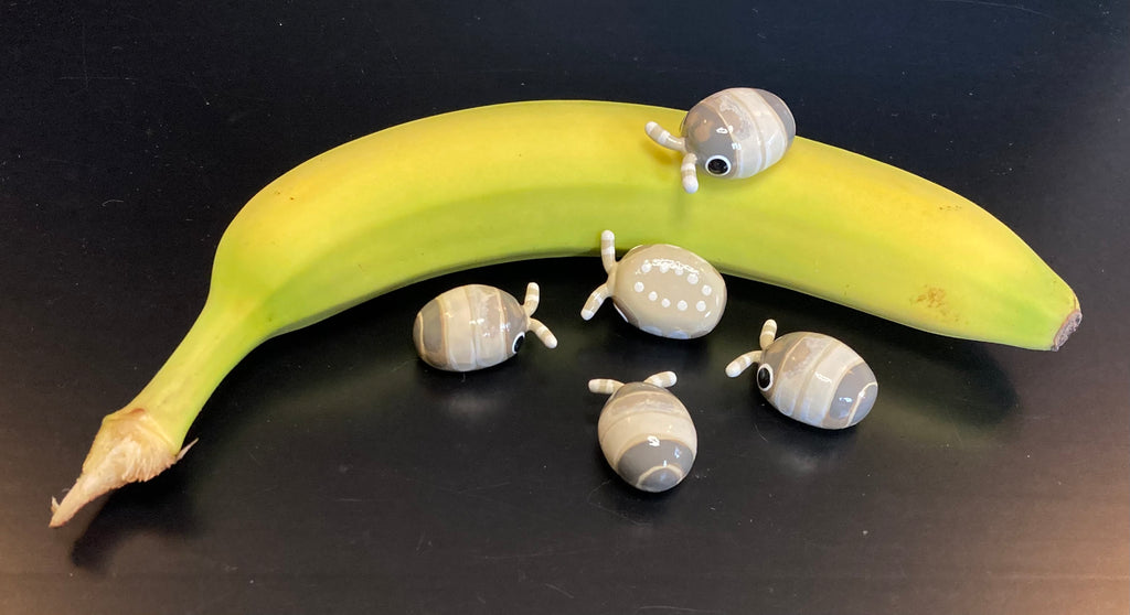 Cubaris sp. "Panda King" Isopod Mini Sculpture