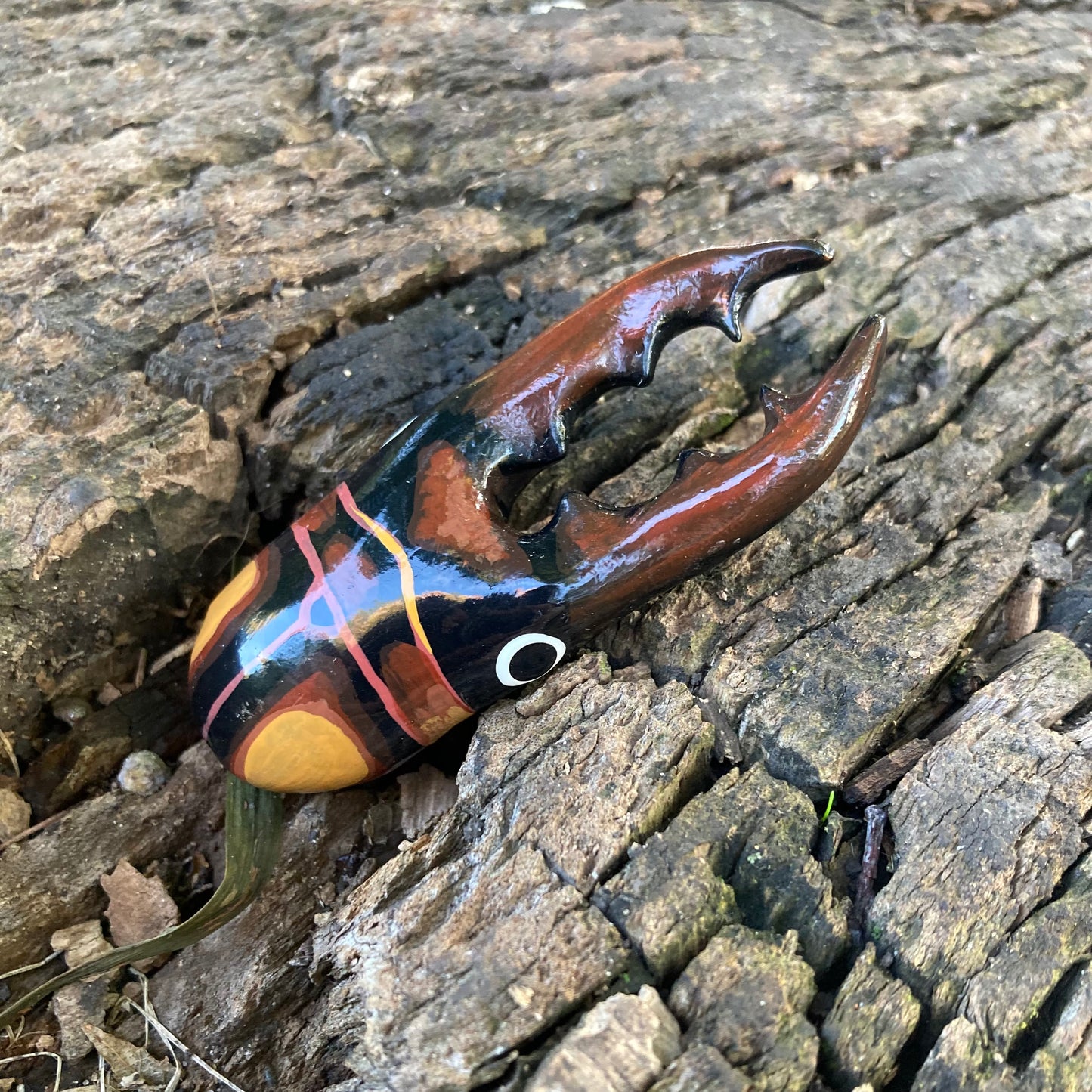 Prosopocoilus savagei Magnet