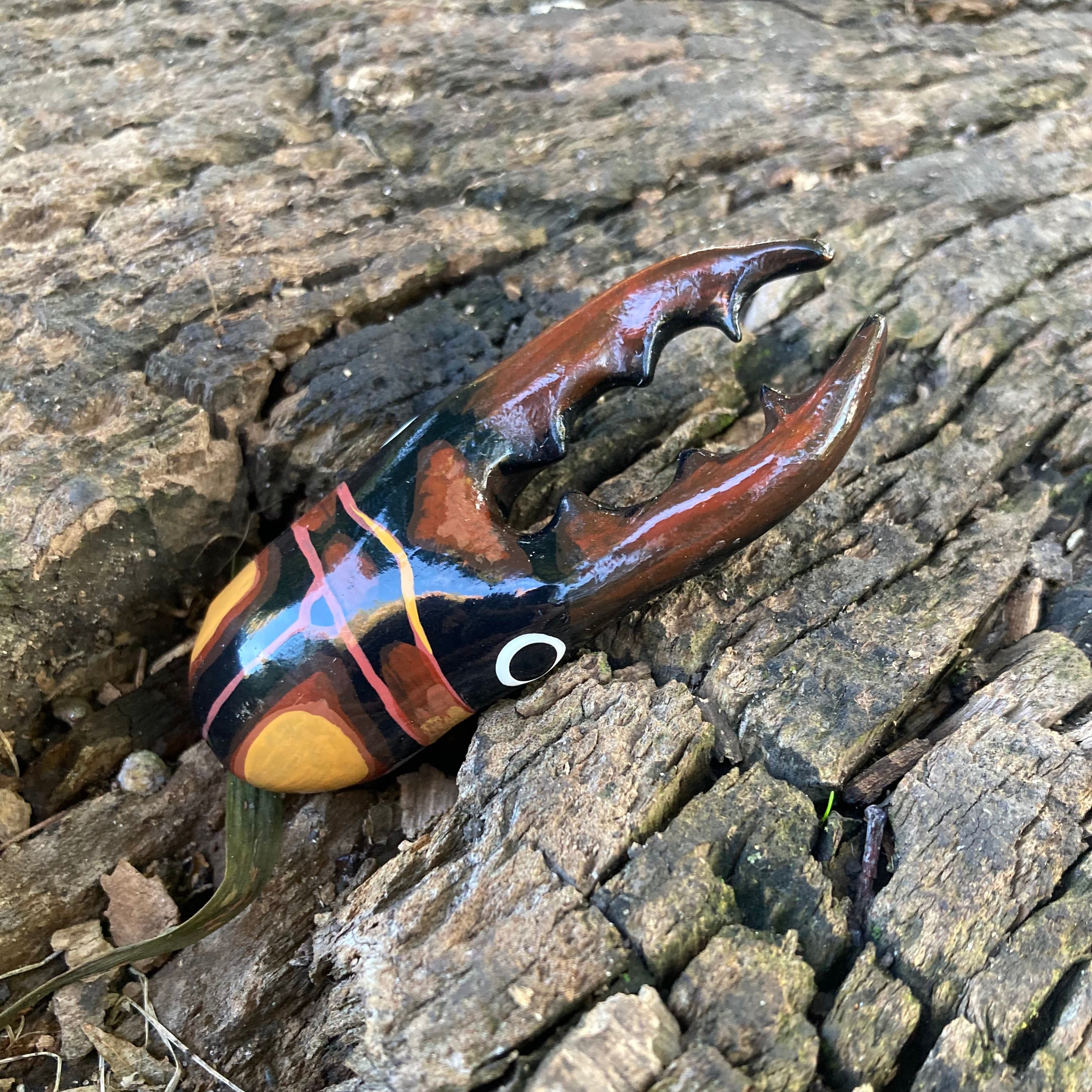 Prosopocoilus savagei Magnet