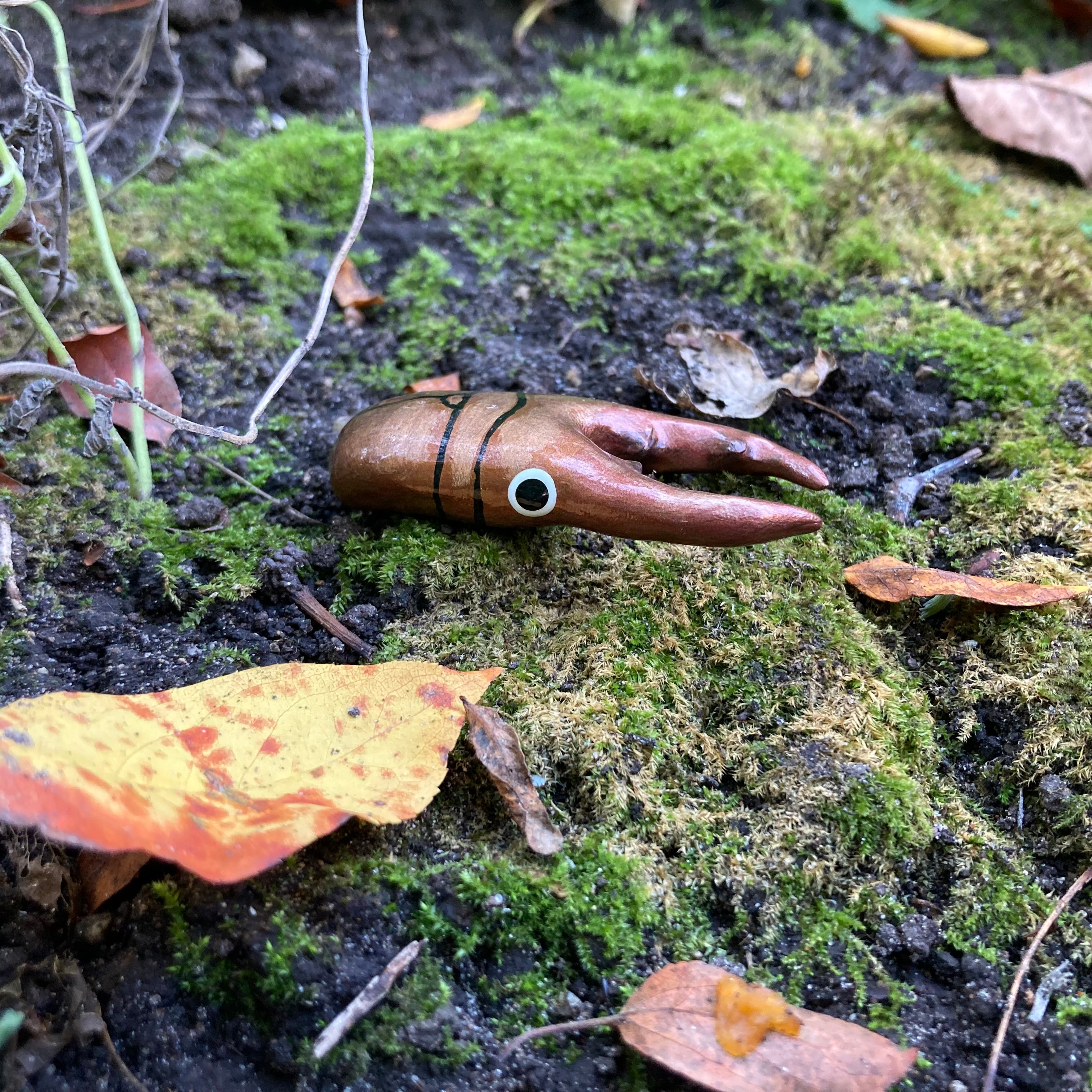 Cyclommatus metallifer Magnet