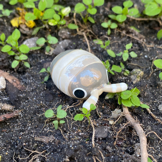 Cubaris sp. "Panda King" Isopod Mini Sculpture