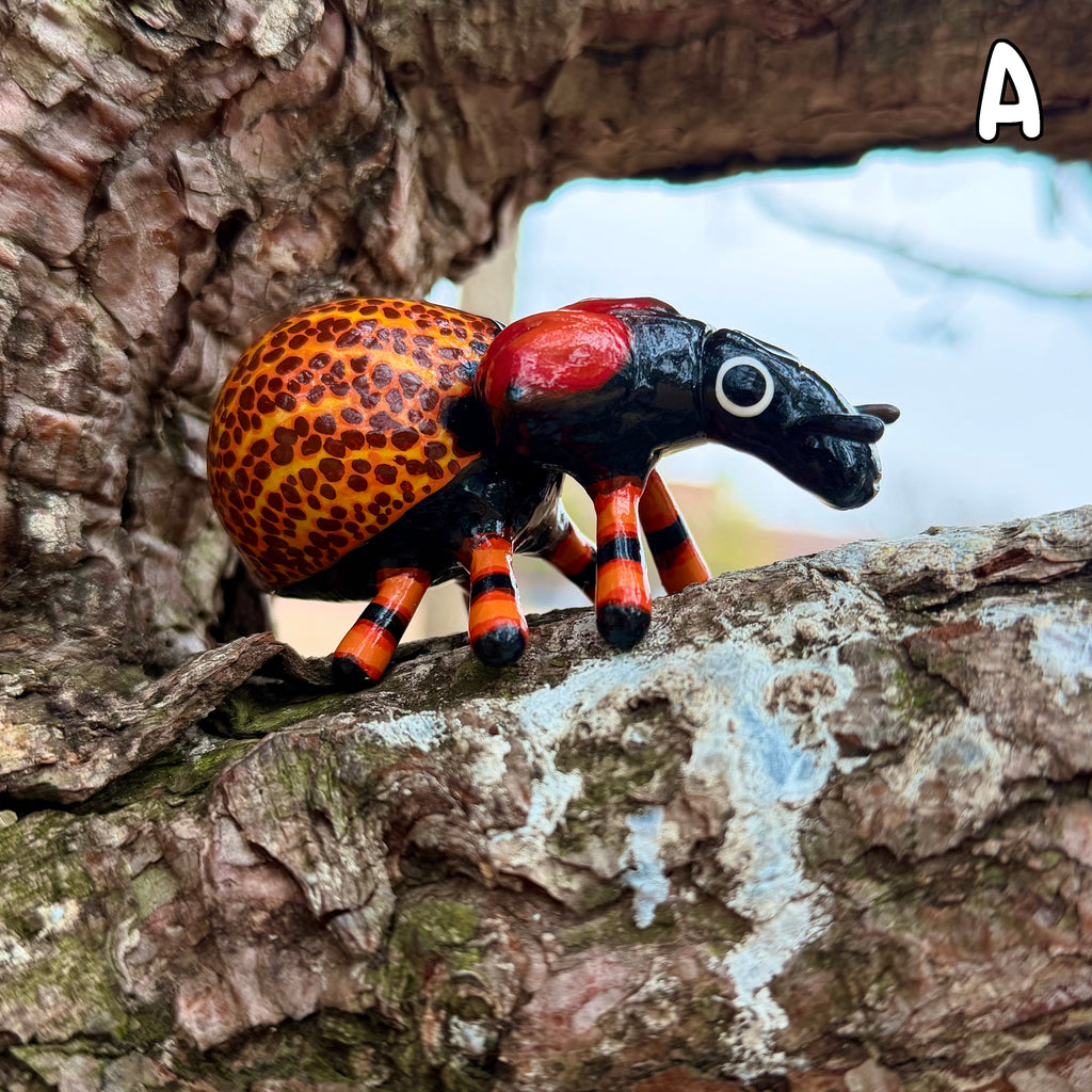 Brachycerus obesus "Obese Lily Weevil" Sculpture B-Grade