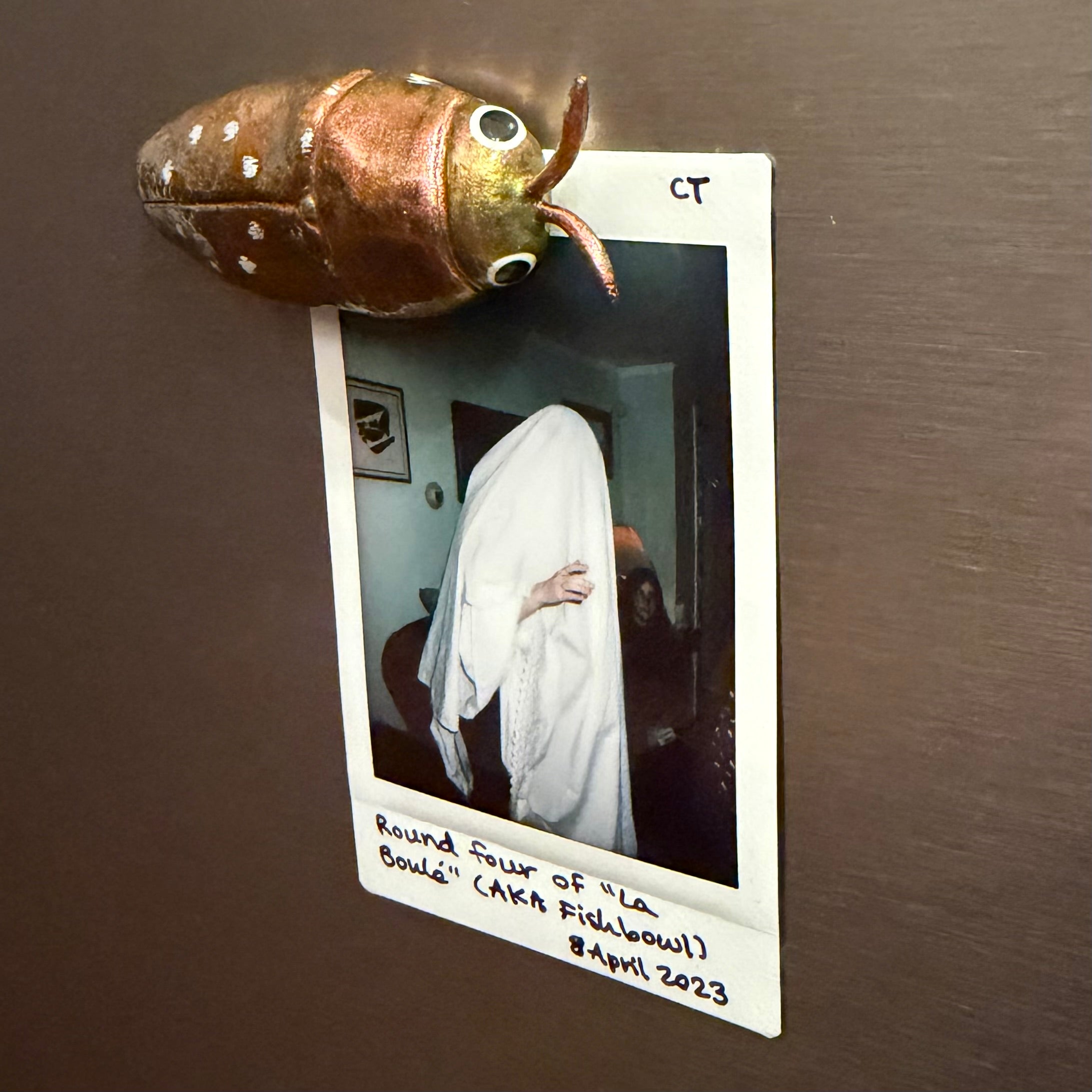 DISCOUNT // MISPAINTED Diphucrania albosparsa Magnet