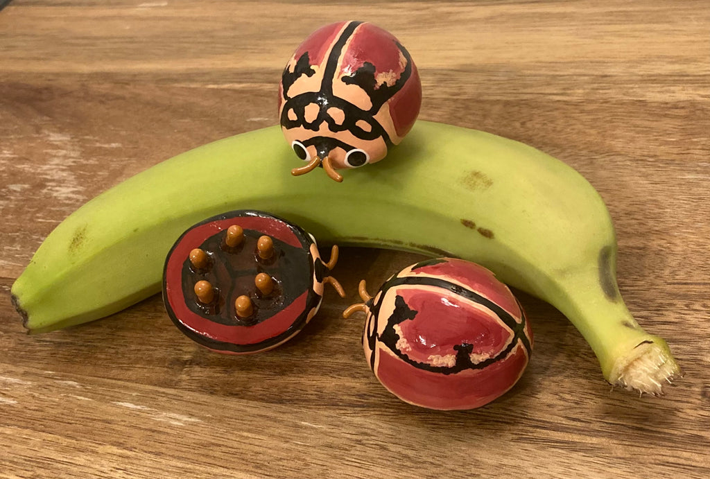 Cheilomenes bidentata Sculpture