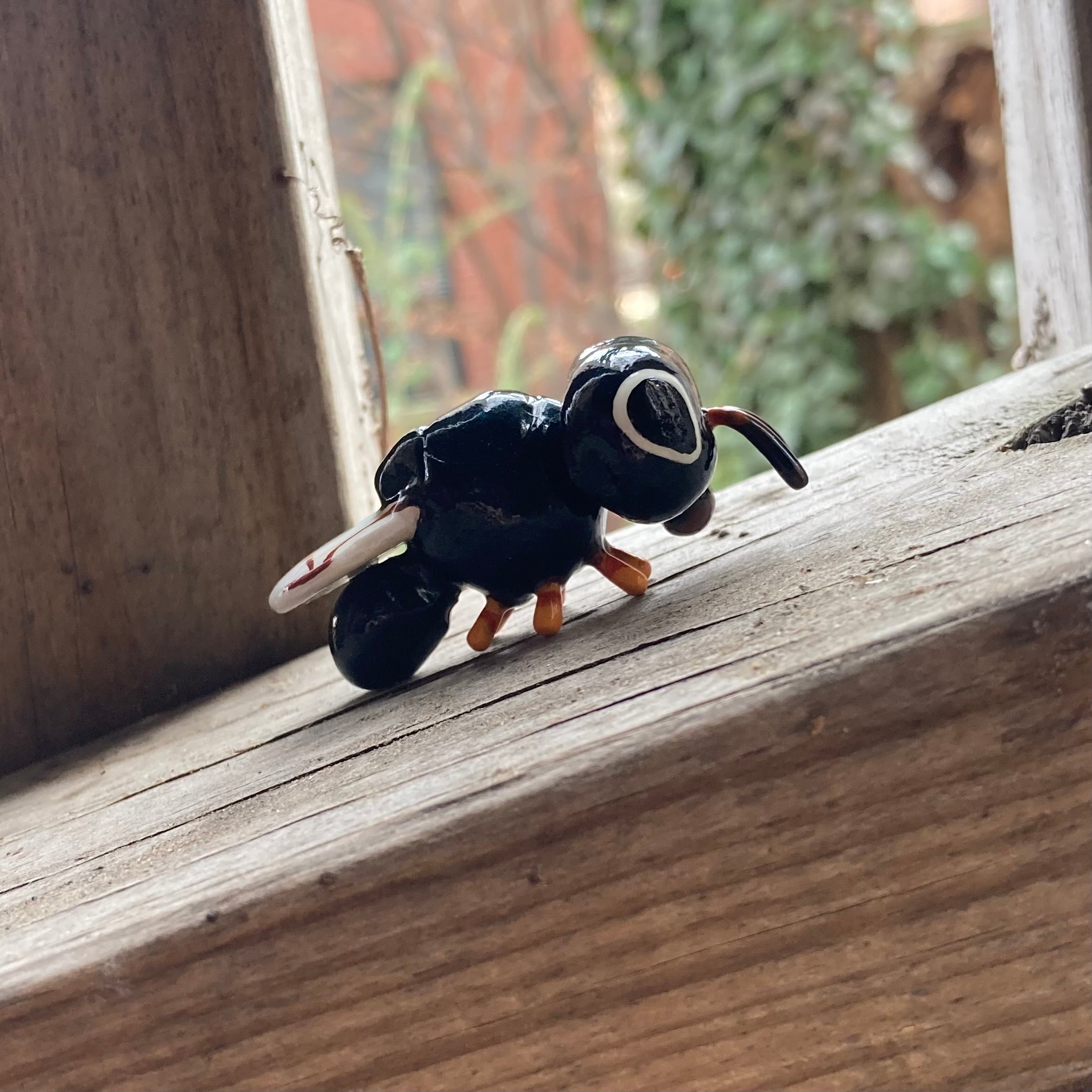 Cratomus megacephala Sculpture