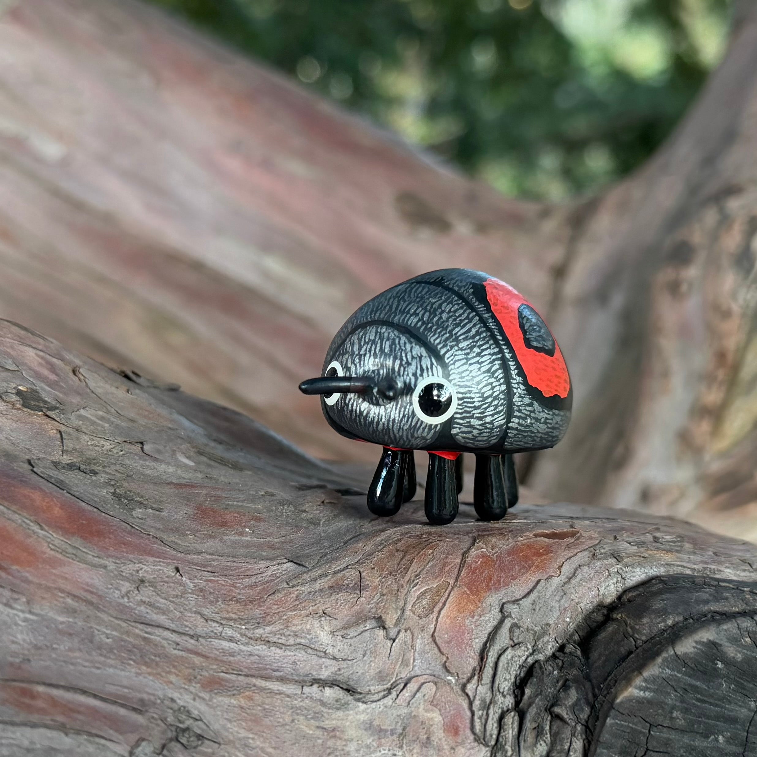 Chnootriba quadrioculata Sculpture