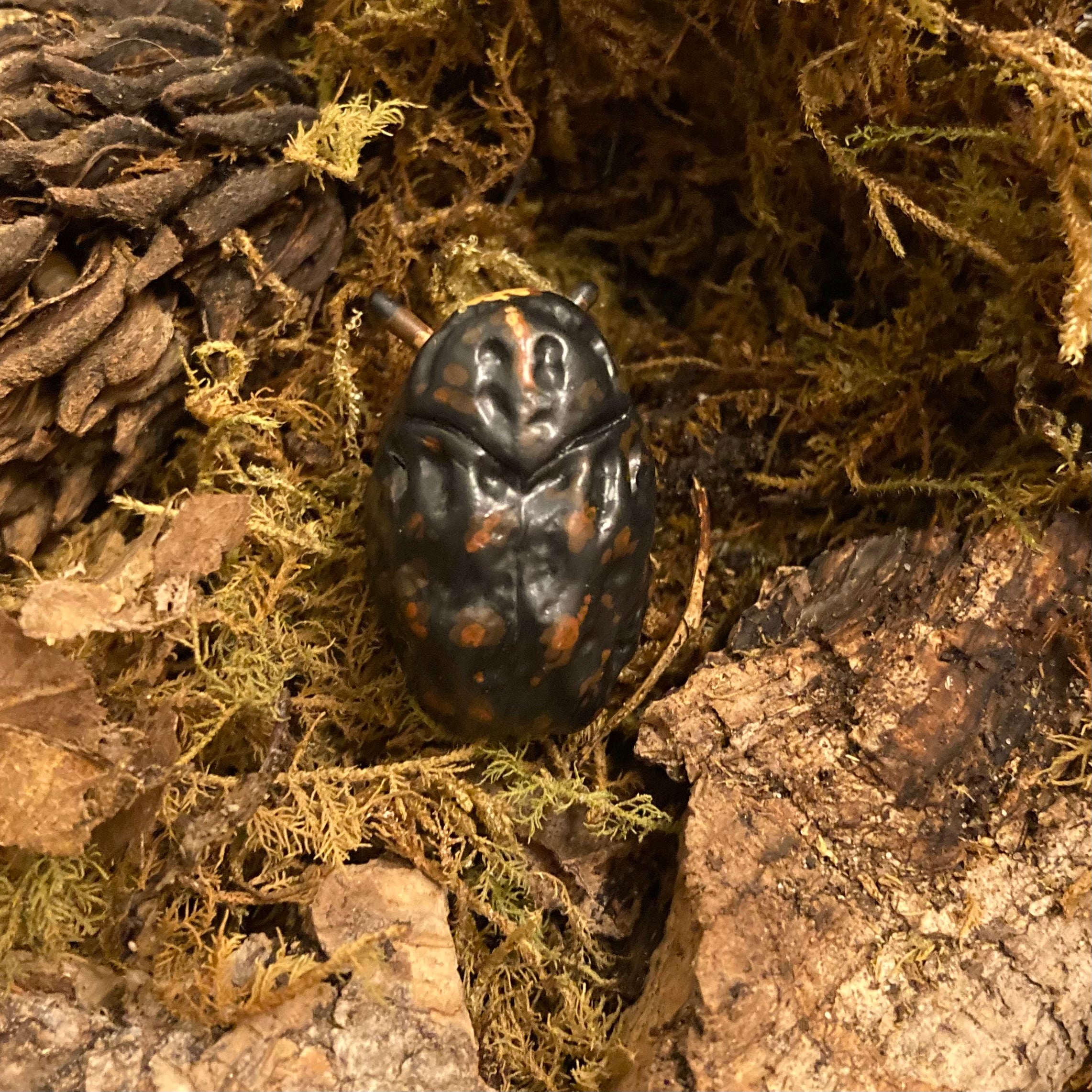 Exema dispar Sculpture