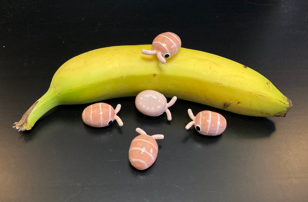 Cubaris murina "Papaya" Isopod Mini Sculpture