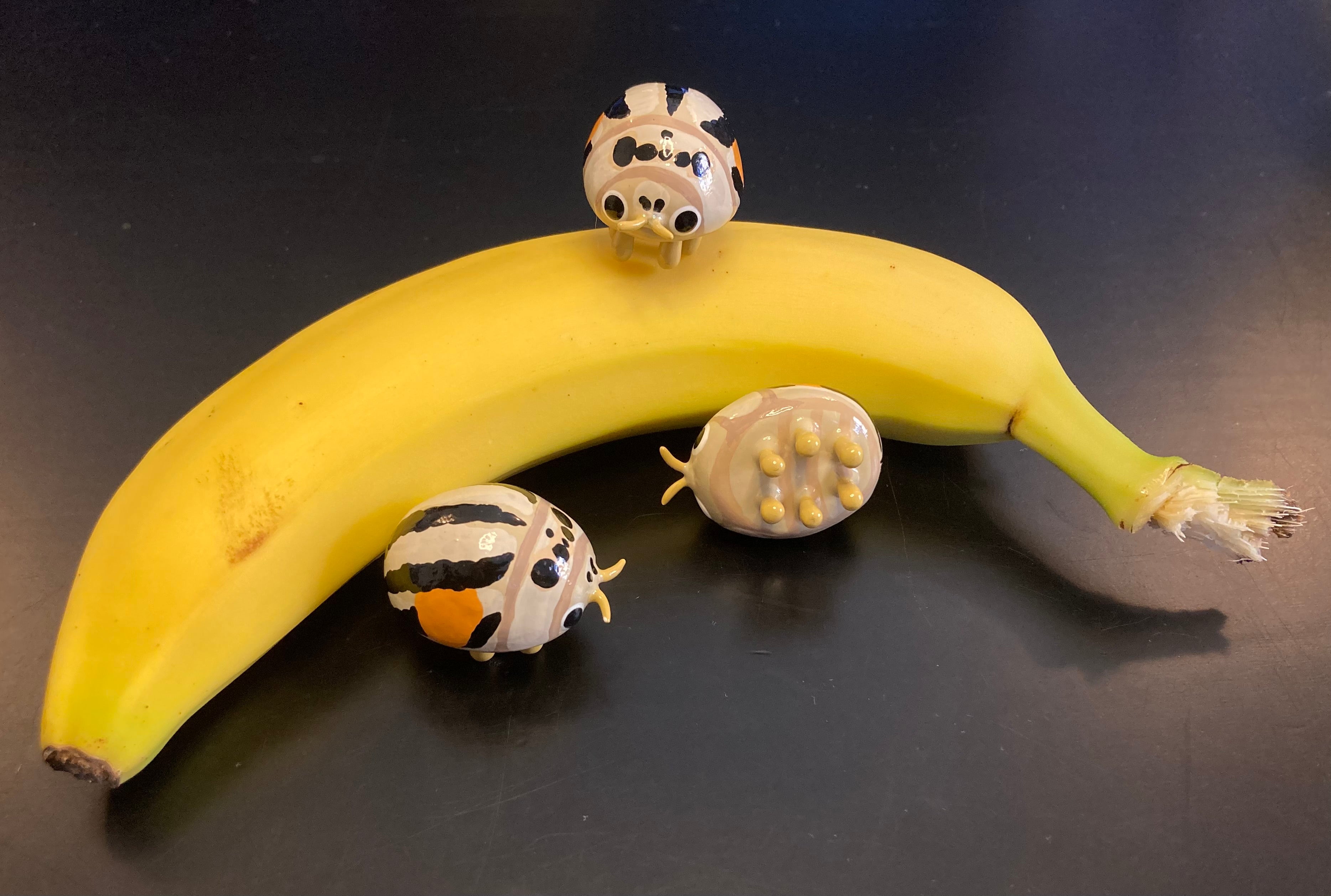 Psyllobora nigrovittata Sculpture