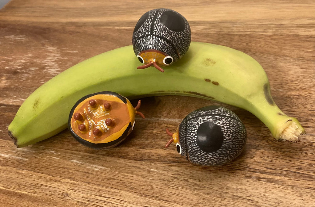 Azya orbigera Sculpture