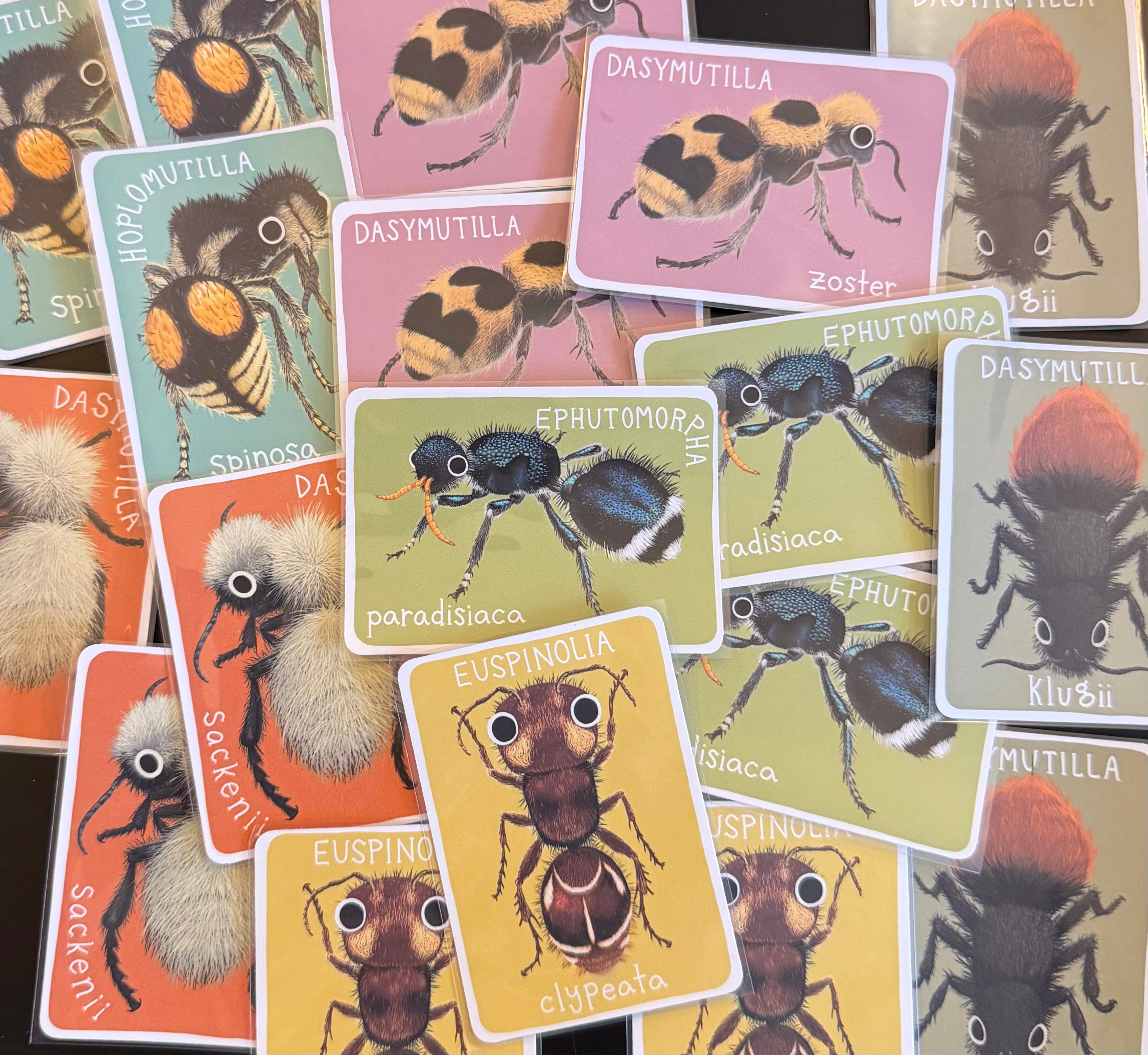 Mutillidae Mini Prints