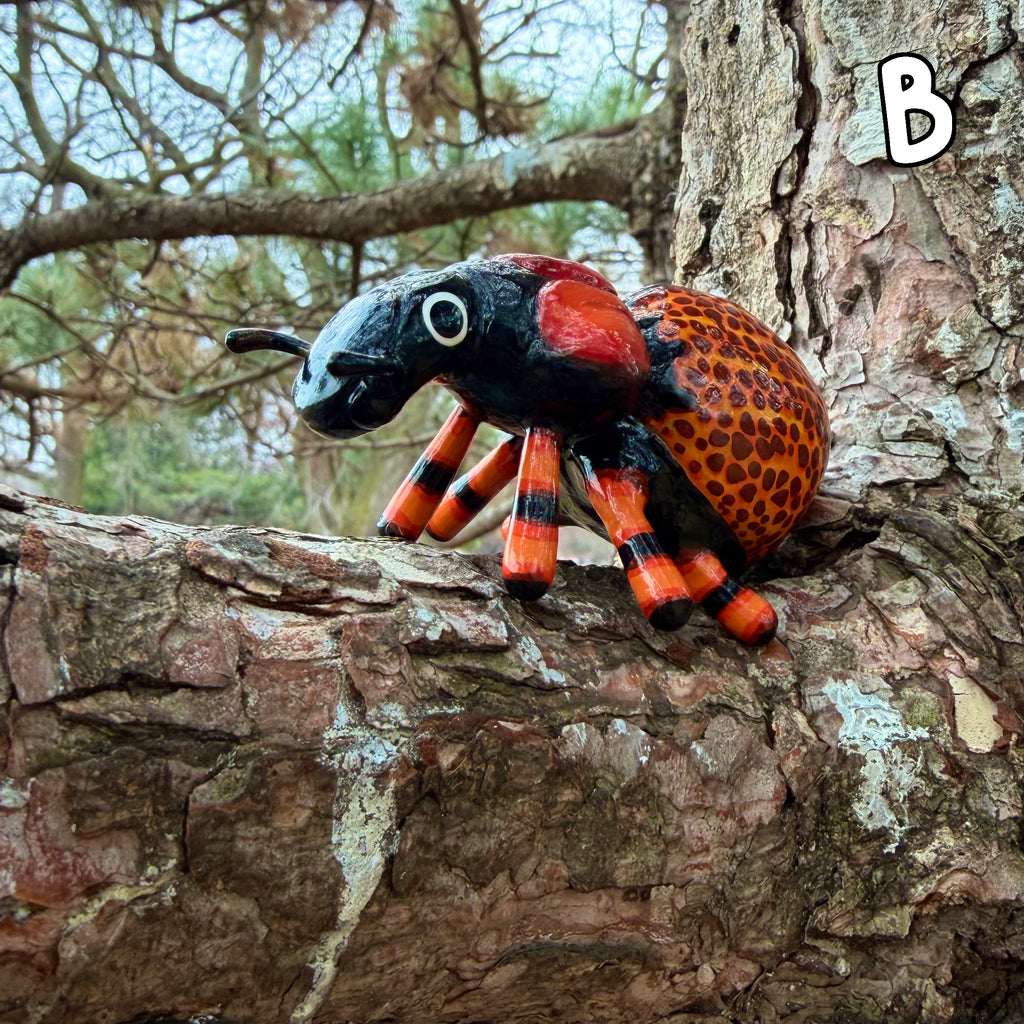 Brachycerus obesus "Obese Lily Weevil" Sculpture B-Grade