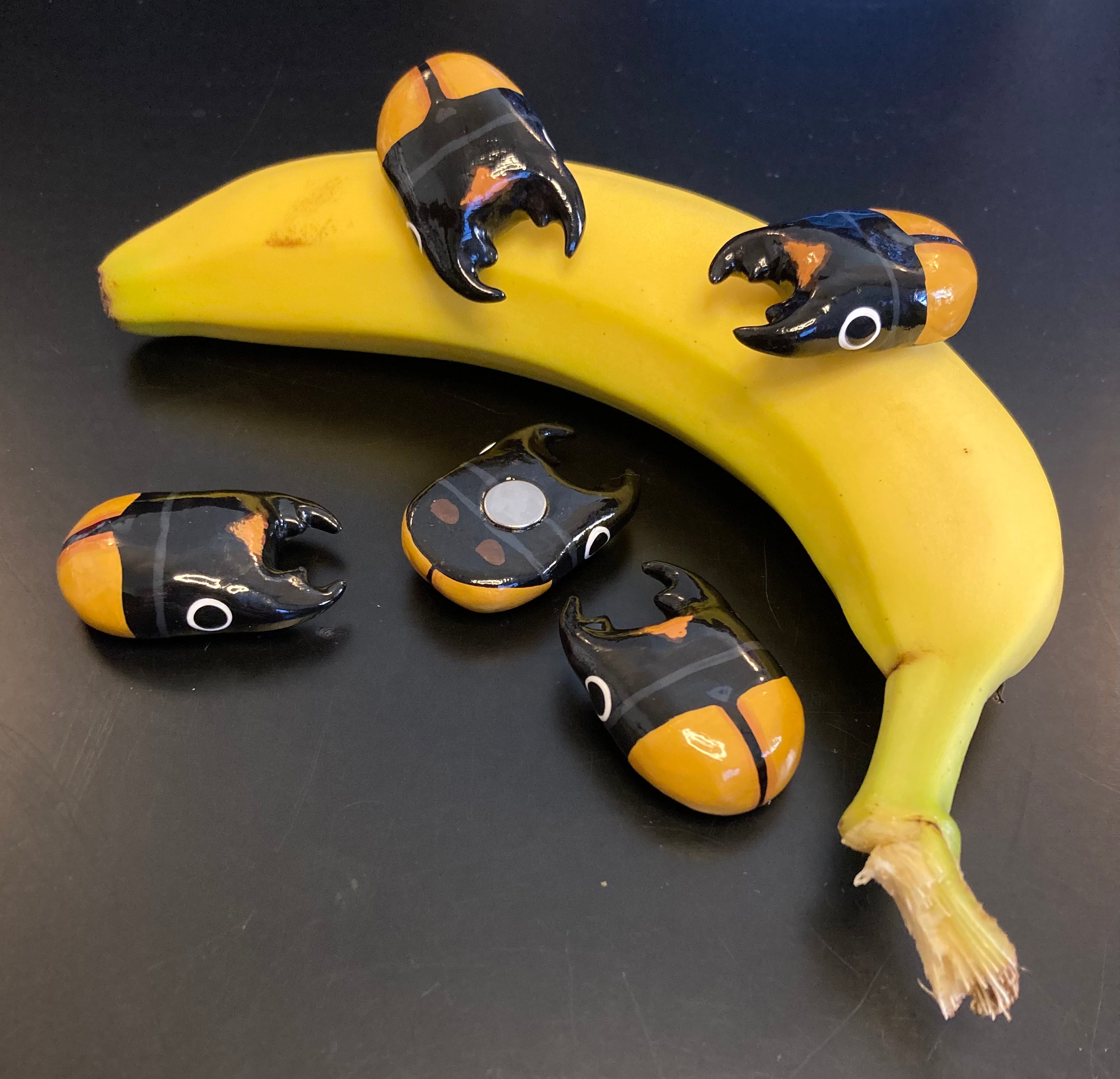 Odontolabis spectabilis Magnet