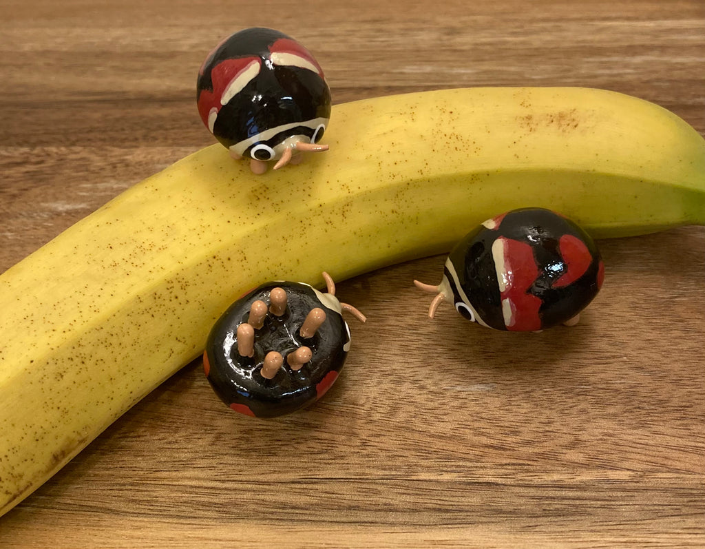 Brachiacantha arizonica Sculpture (slight defect)