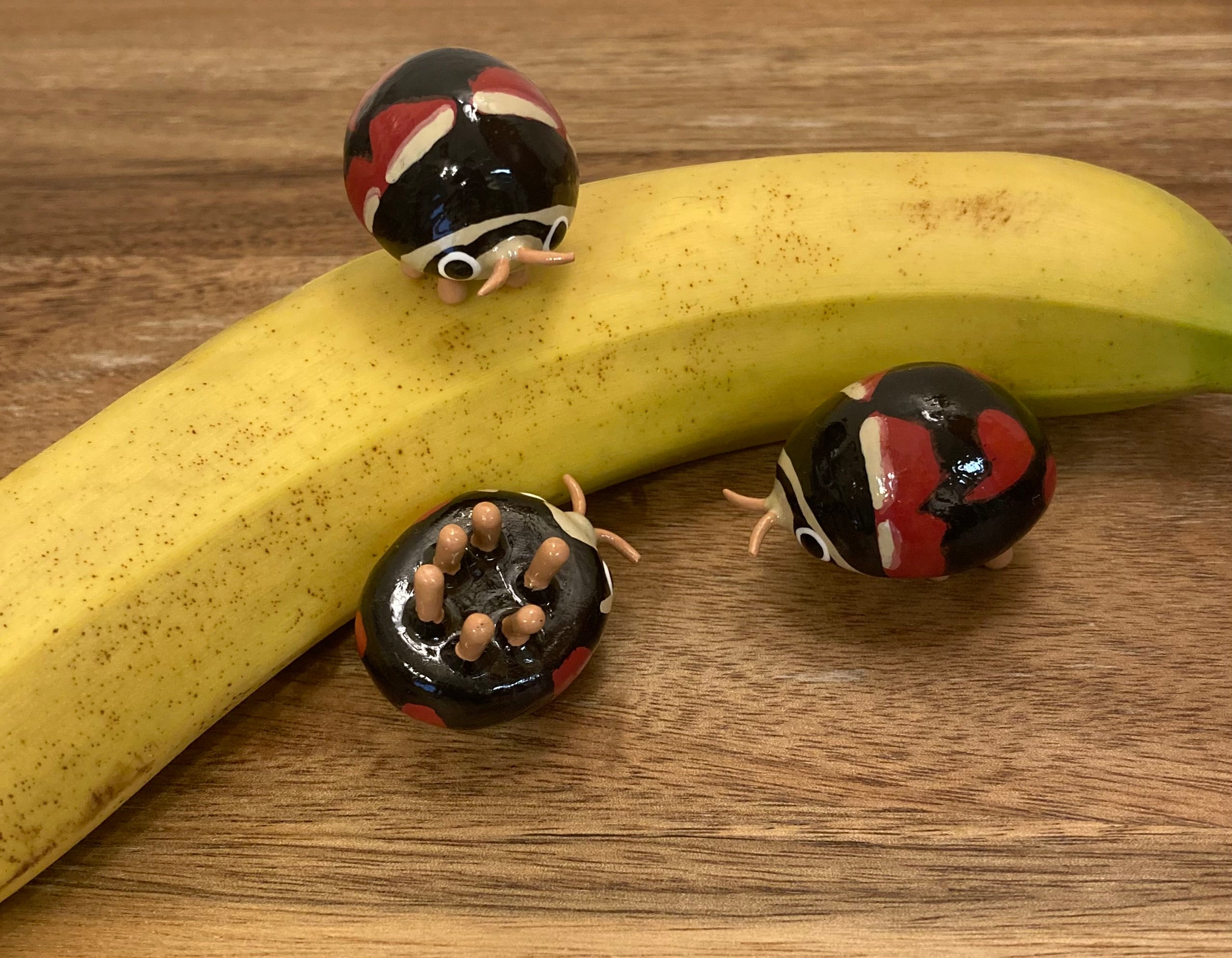 Brachiacantha arizonica Sculpture (slight defect)