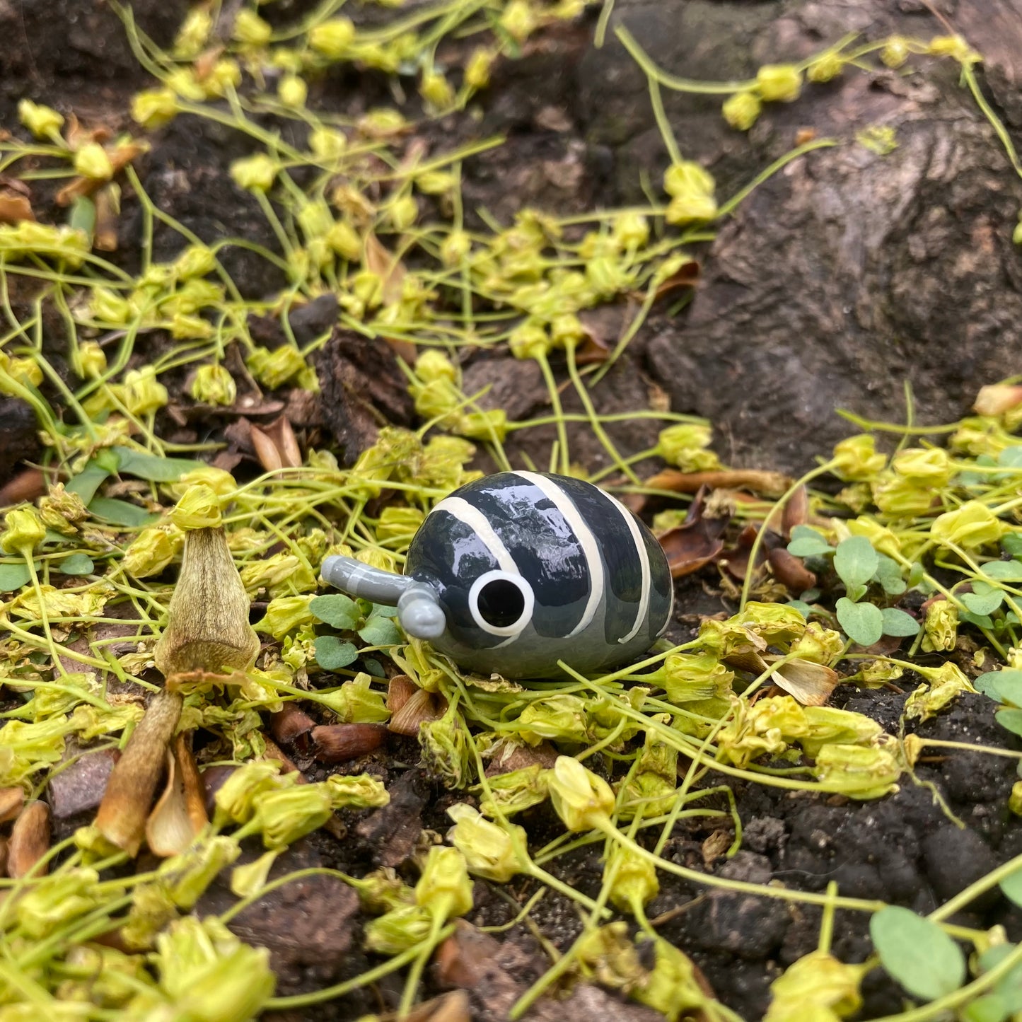 Armadillidium maculatum "Zebra" Isopod Mini Sculpture