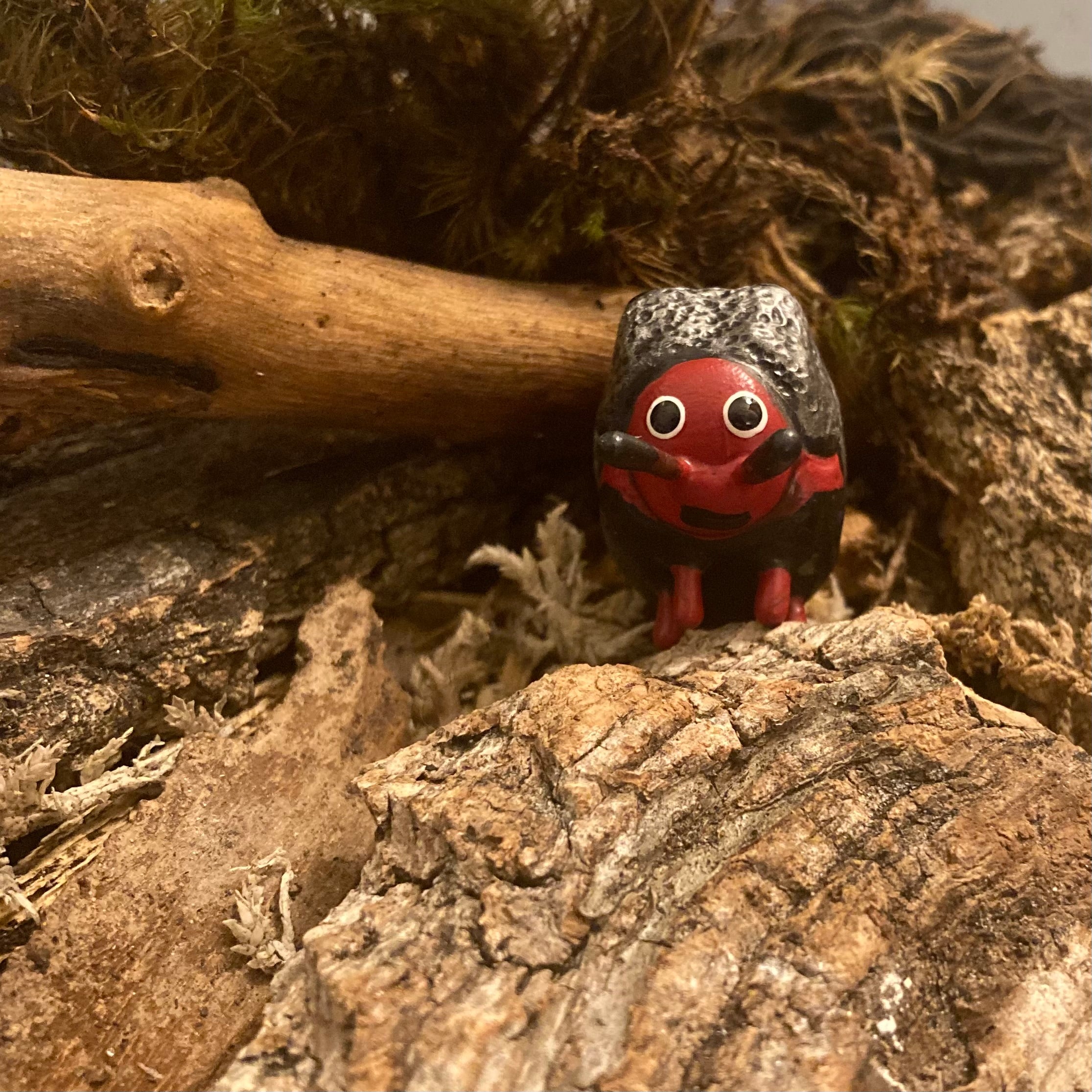 Chlamisus maculipes Sculpture