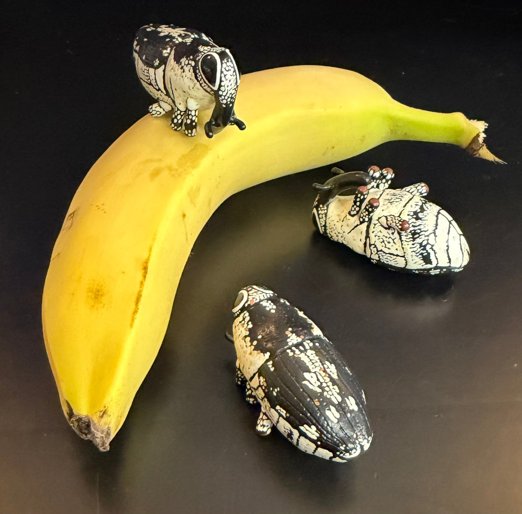 Cylindrocopturus quercus Sculpture