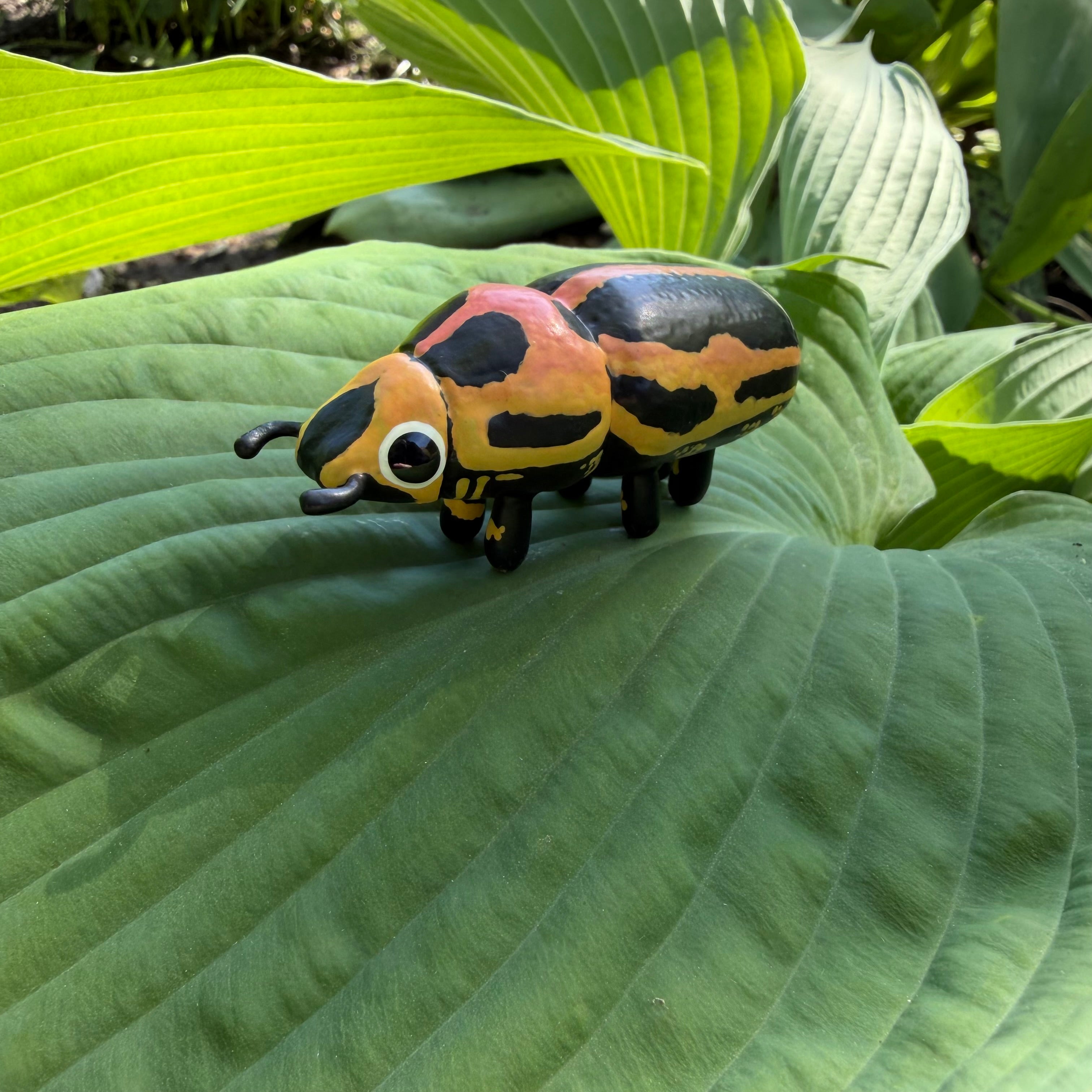 Eudiagogus pulcher "Beautiful Clown Weevil" Sculpture