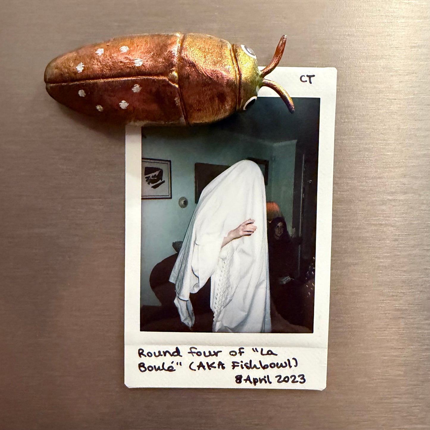 DISCOUNT // MISPAINTED Diphucrania albosparsa Magnet