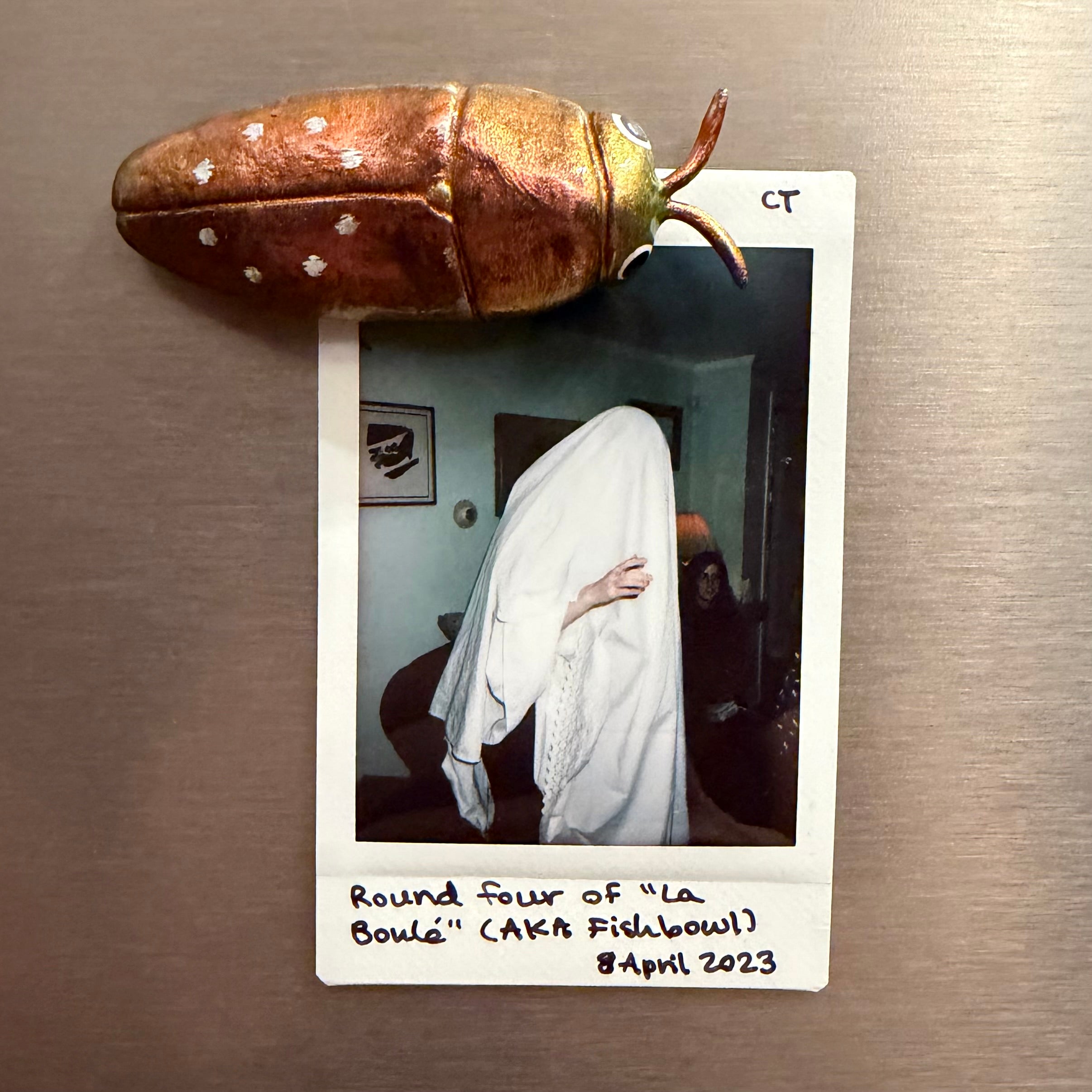 DISCOUNT // MISPAINTED Diphucrania albosparsa Magnet