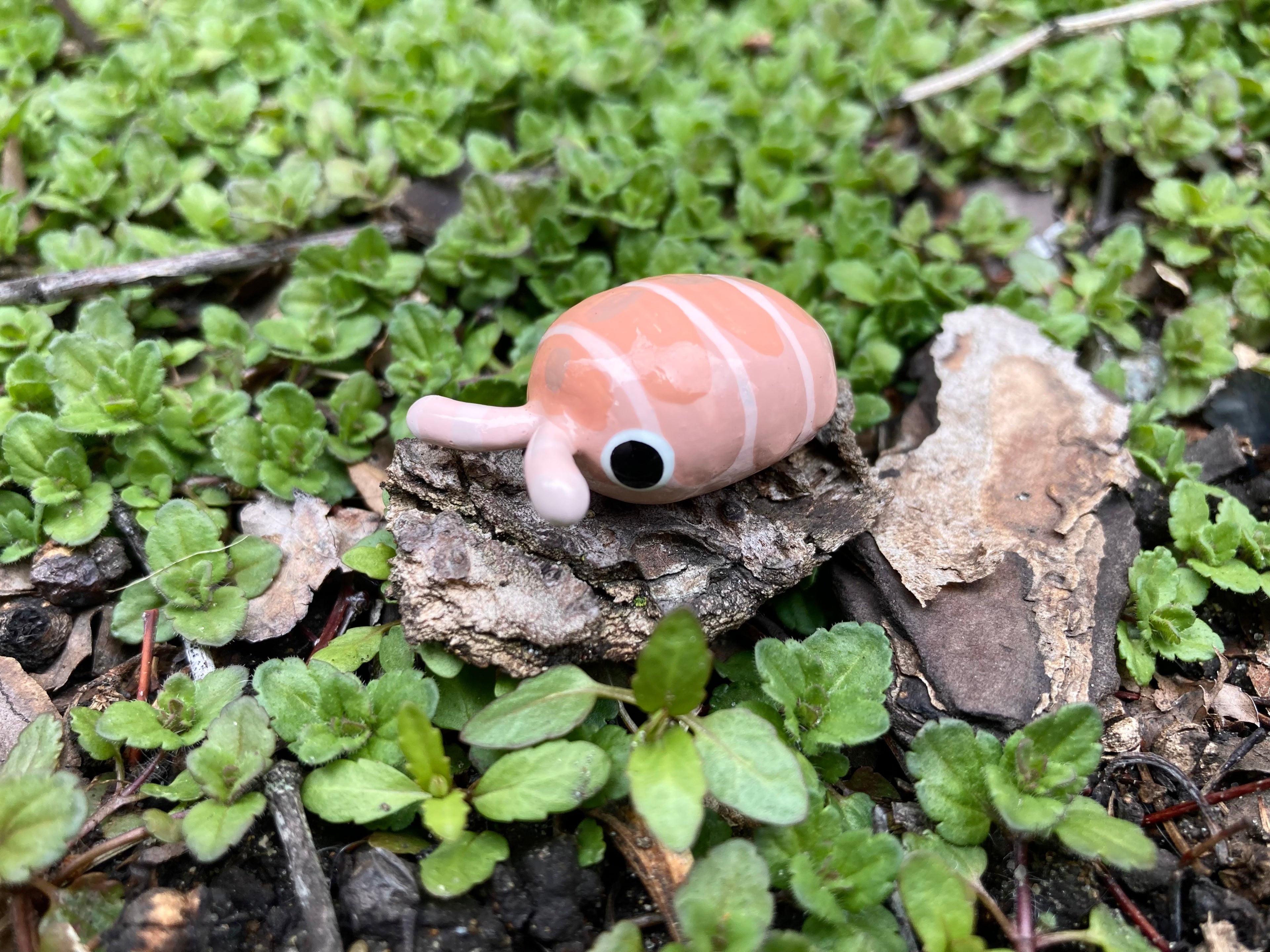 Cubaris murina "Papaya" Isopod Mini Sculpture