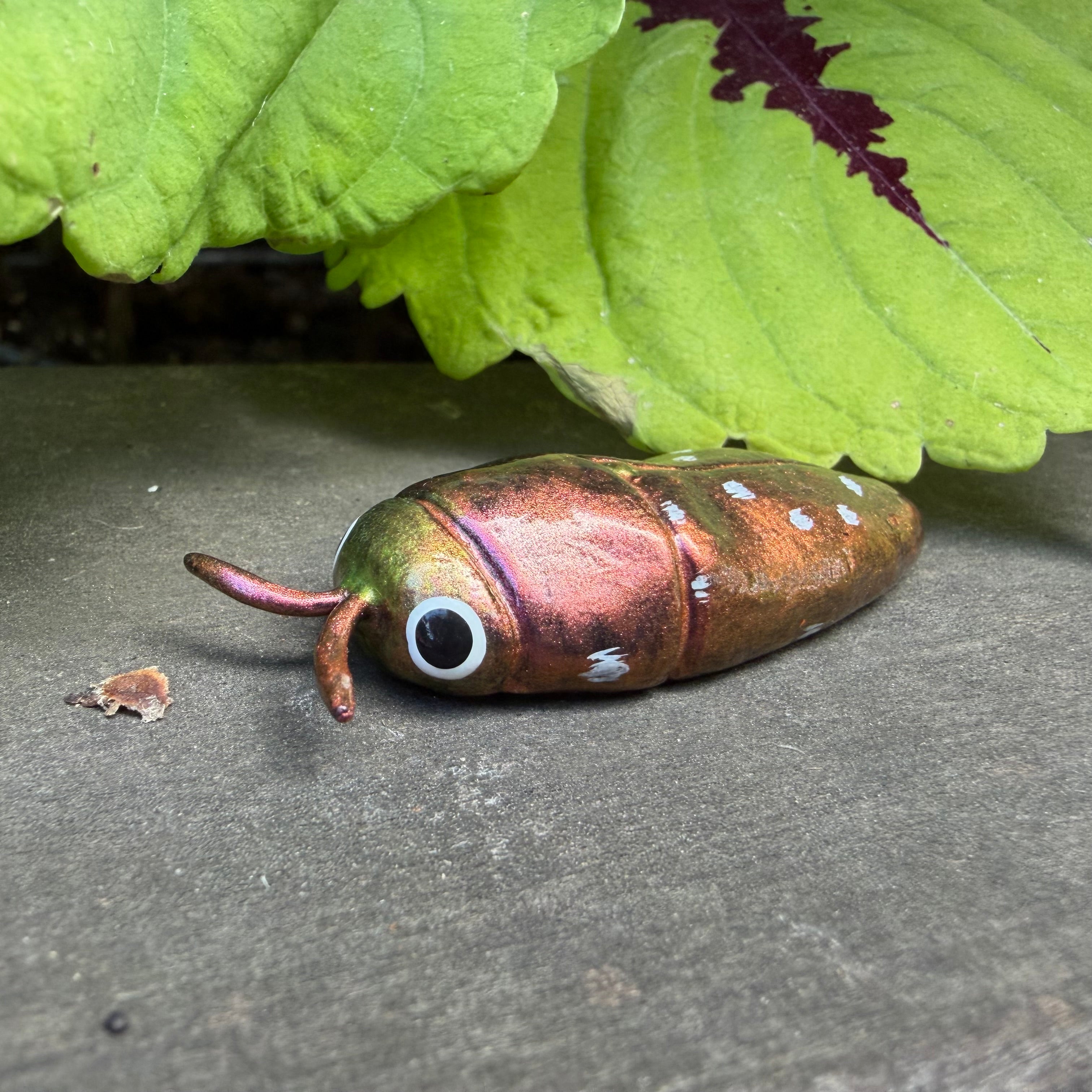 DISCOUNT // MISPAINTED Diphucrania albosparsa Magnet