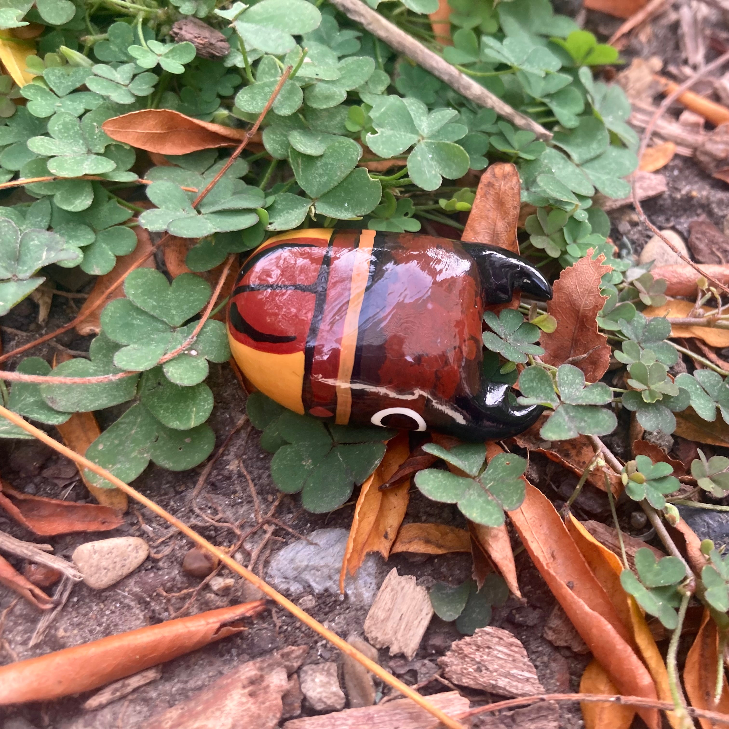 Prosopocoilus lateralis Magnet