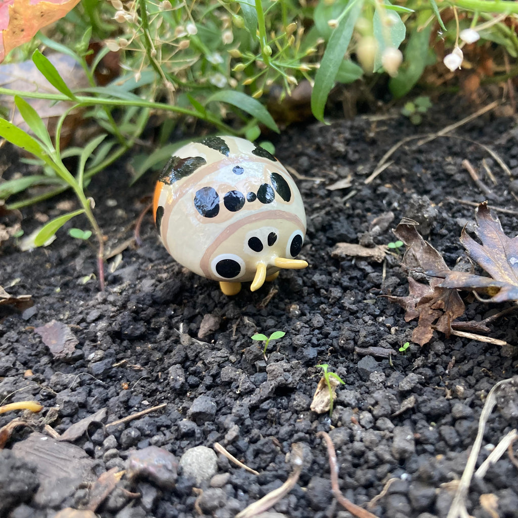 Psyllobora nigrovittata Sculpture