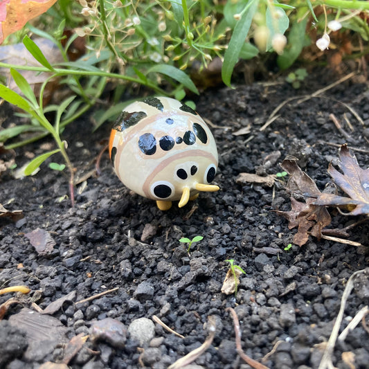 Psyllobora nigrovittata Sculpture