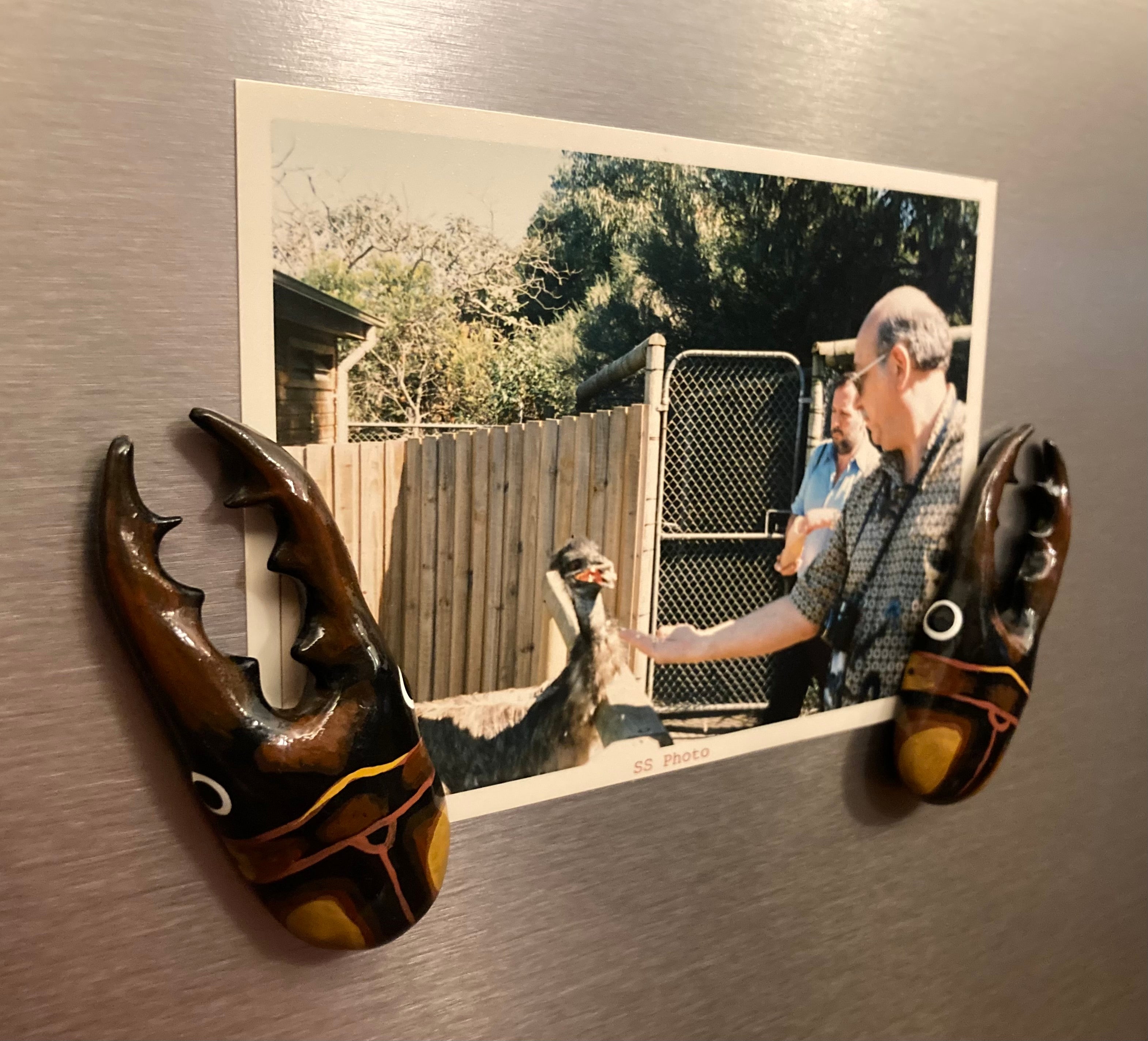 Prosopocoilus savagei Magnet