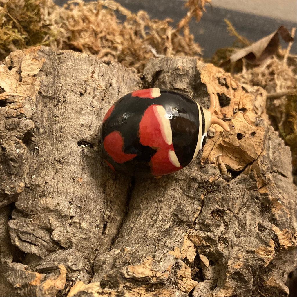 Brachiacantha arizonica Sculpture (slight defect)