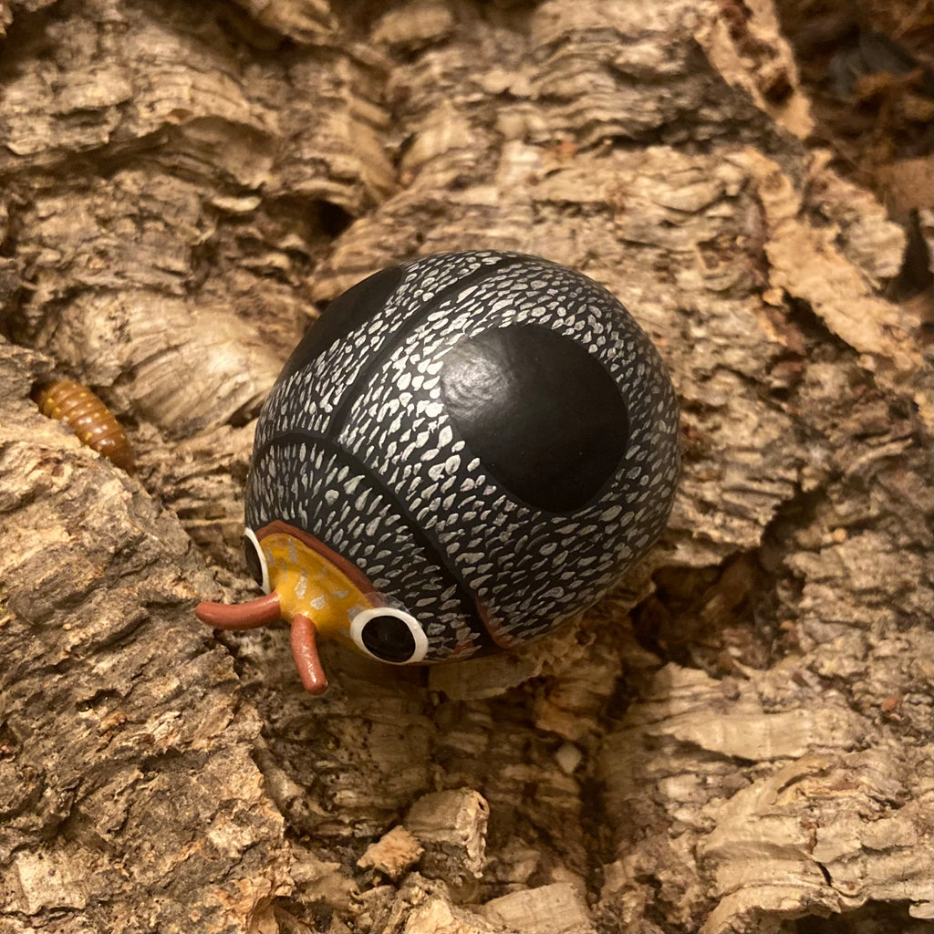 Azya orbigera Sculpture