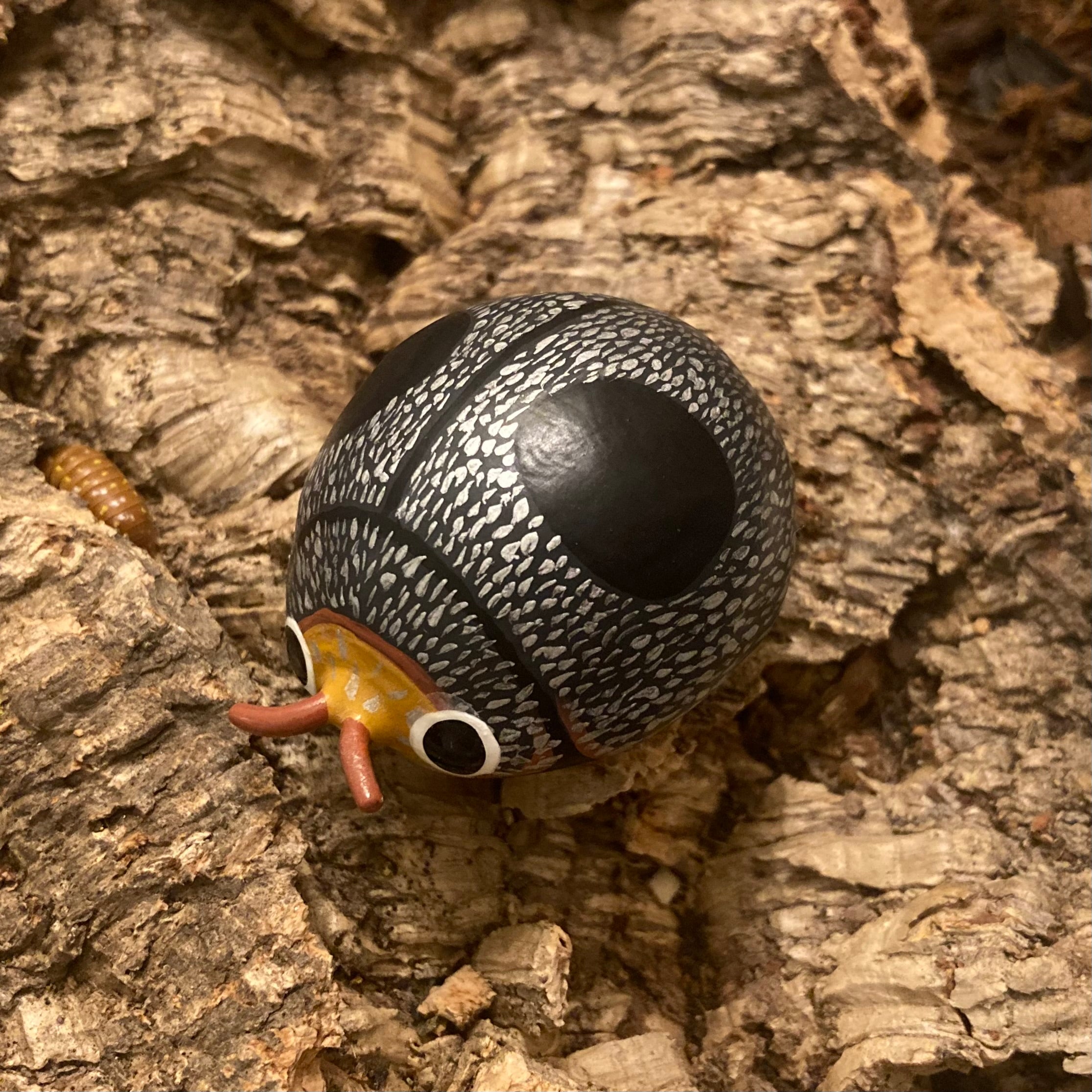 Azya orbigera Sculpture