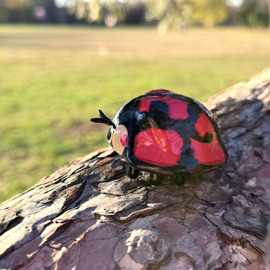 Aiolocaria hexaspilota Sculpture