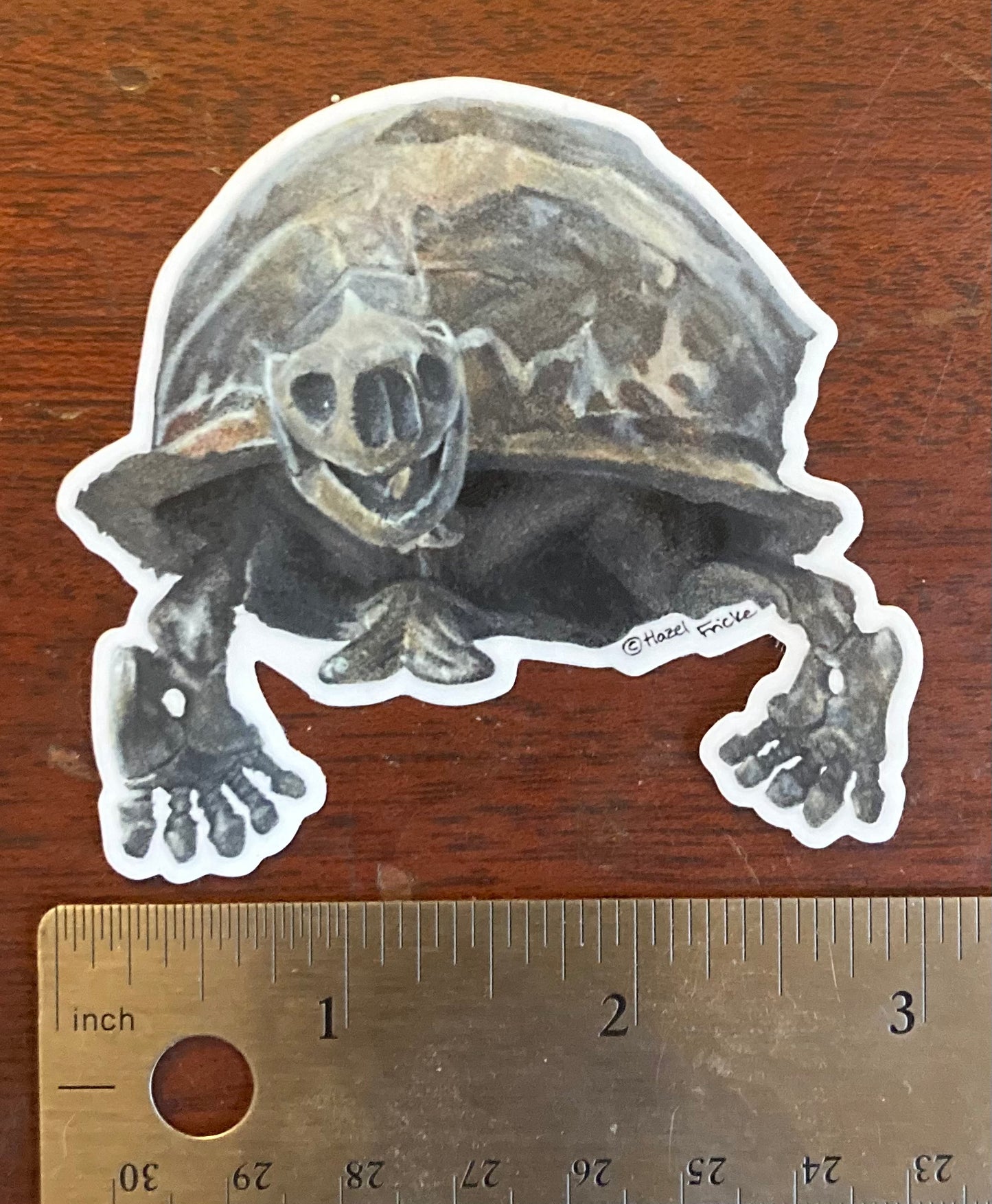 Megalochelys atlas Tortoise Fossil Sticker