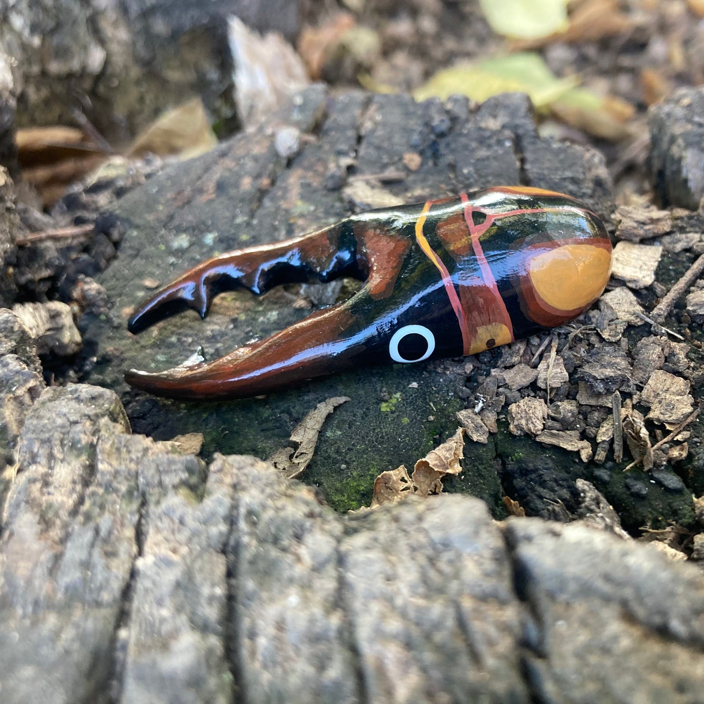 Prosopocoilus savagei Magnet