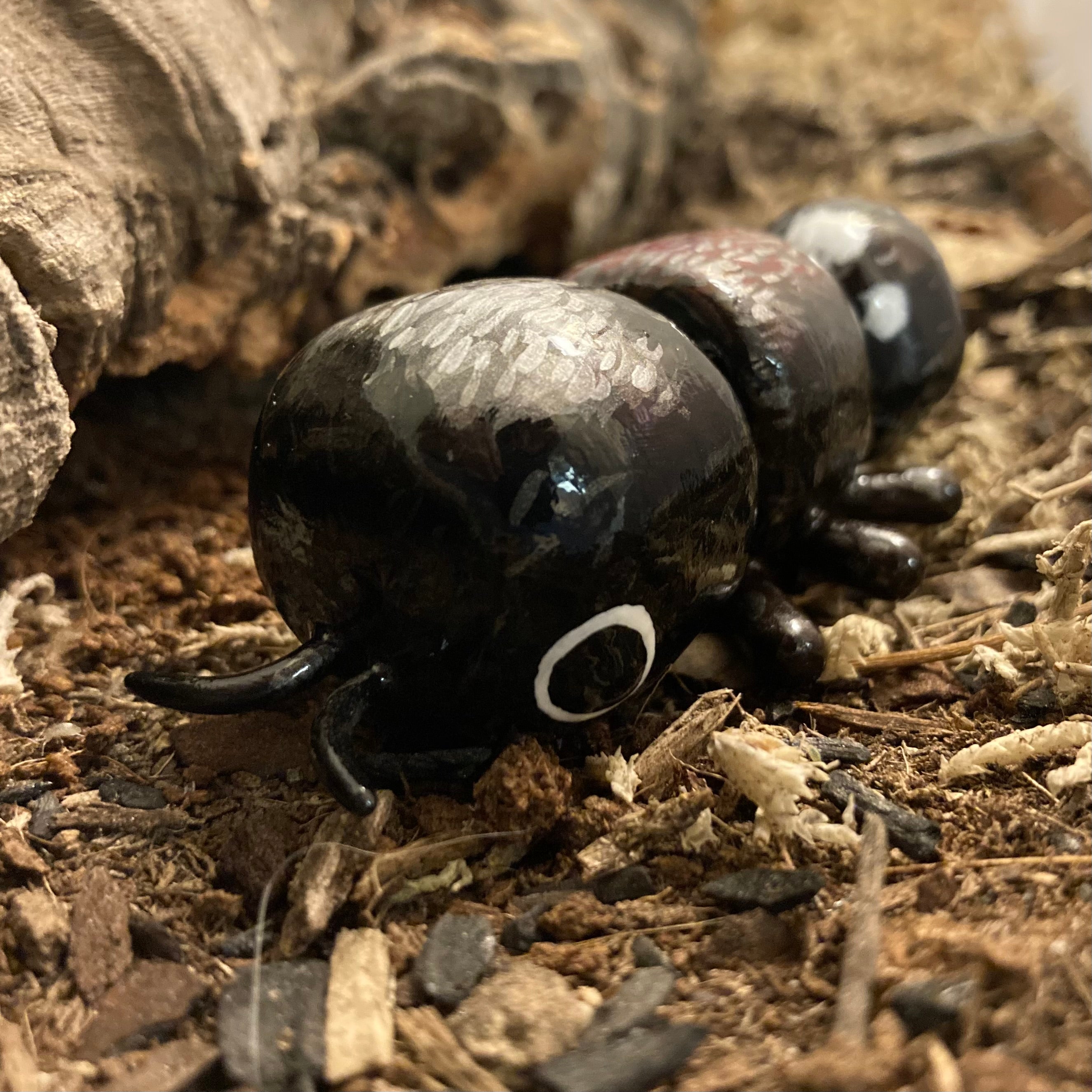 Ronisia barbara Velvet Ant Sculpture